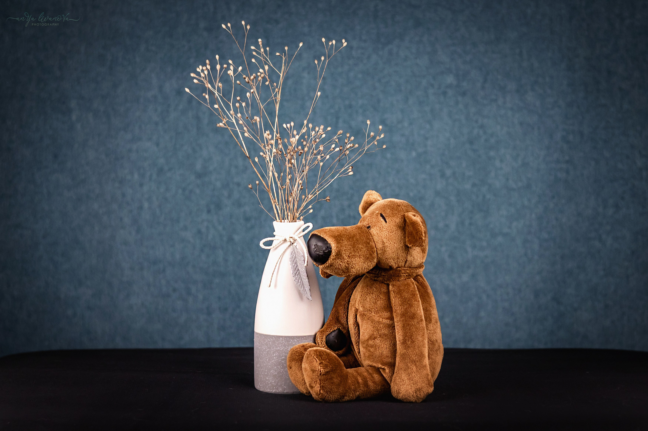 Бирюзовый фон. Фотограф анималист Аня Ливанова | Рыбинск