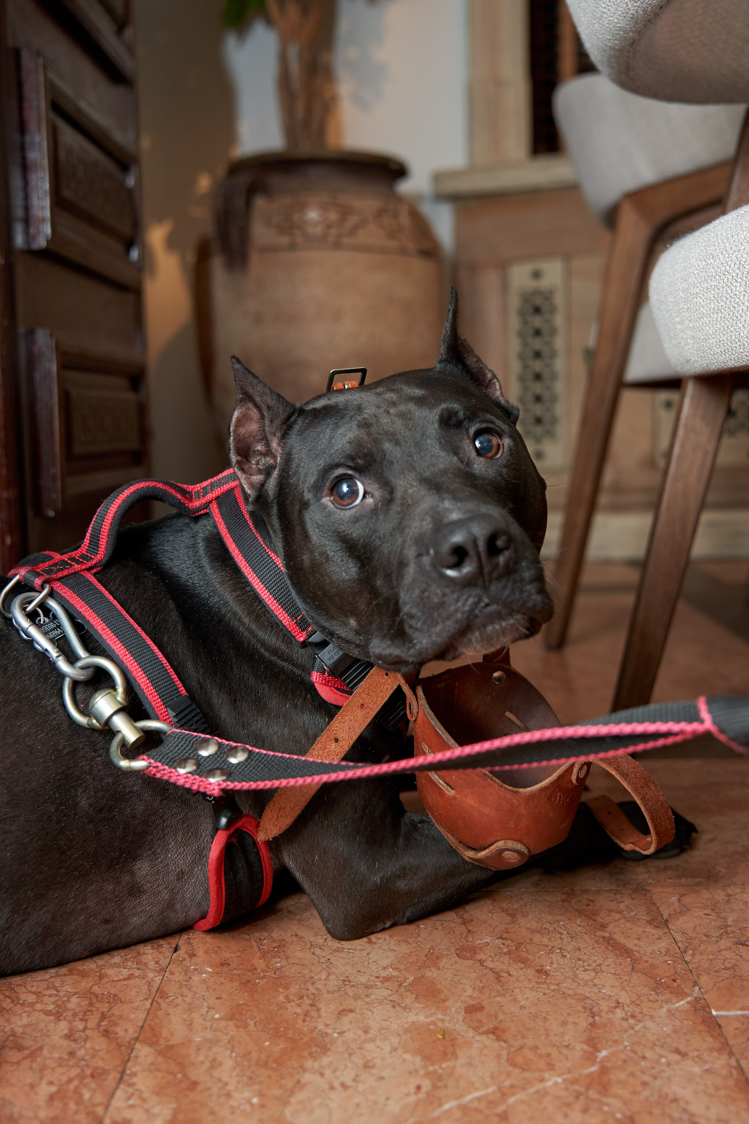 Оля и Никита. Фотограф Ринат Бархатов | Photographer Rinat Barkhatov