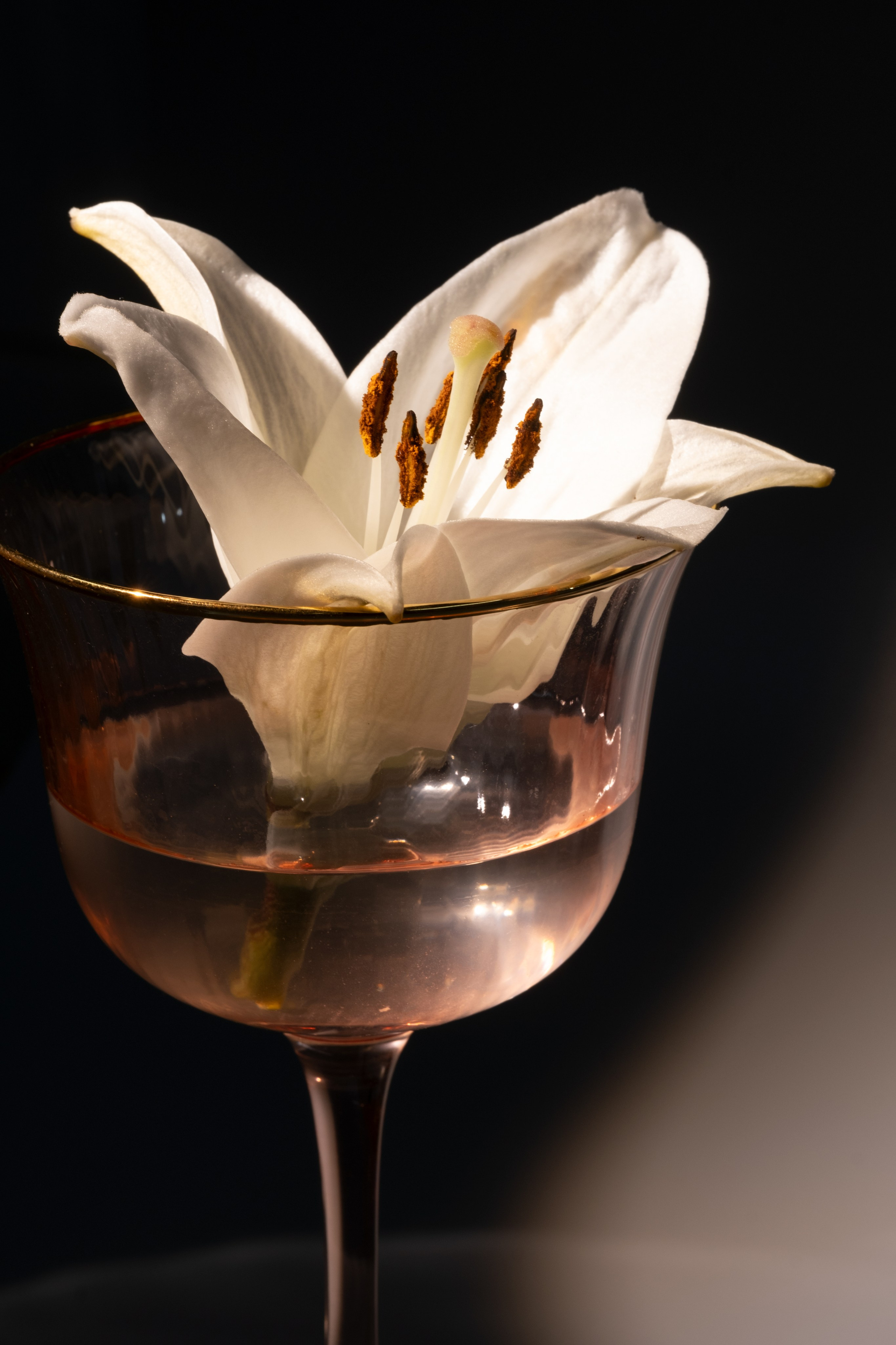 Лилия в фужере. Фотограф Коробова Екатерина