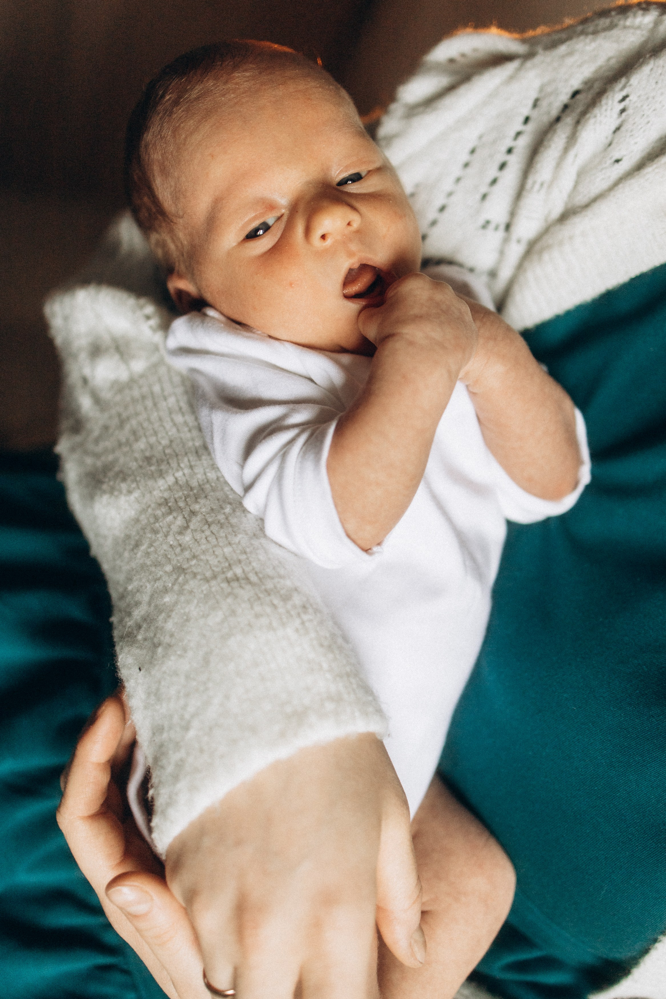 фотосессия новорожденного, фотосессия новорожденных, ньюборн, пушкин, павловск, спб, семейная фотосессия