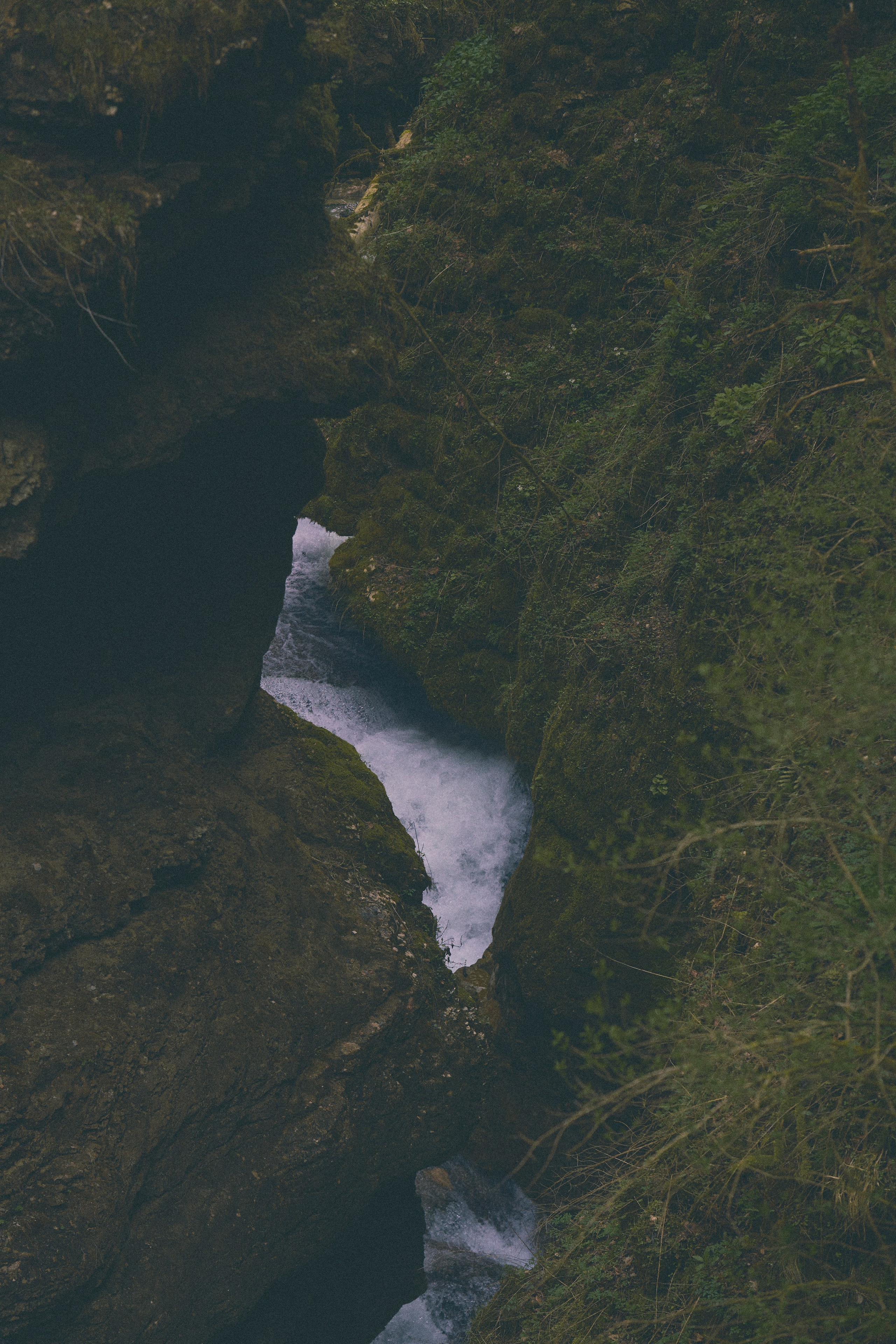 Krasnodar. Гасанова Алина|Фотограф в Санкт-Петербурге