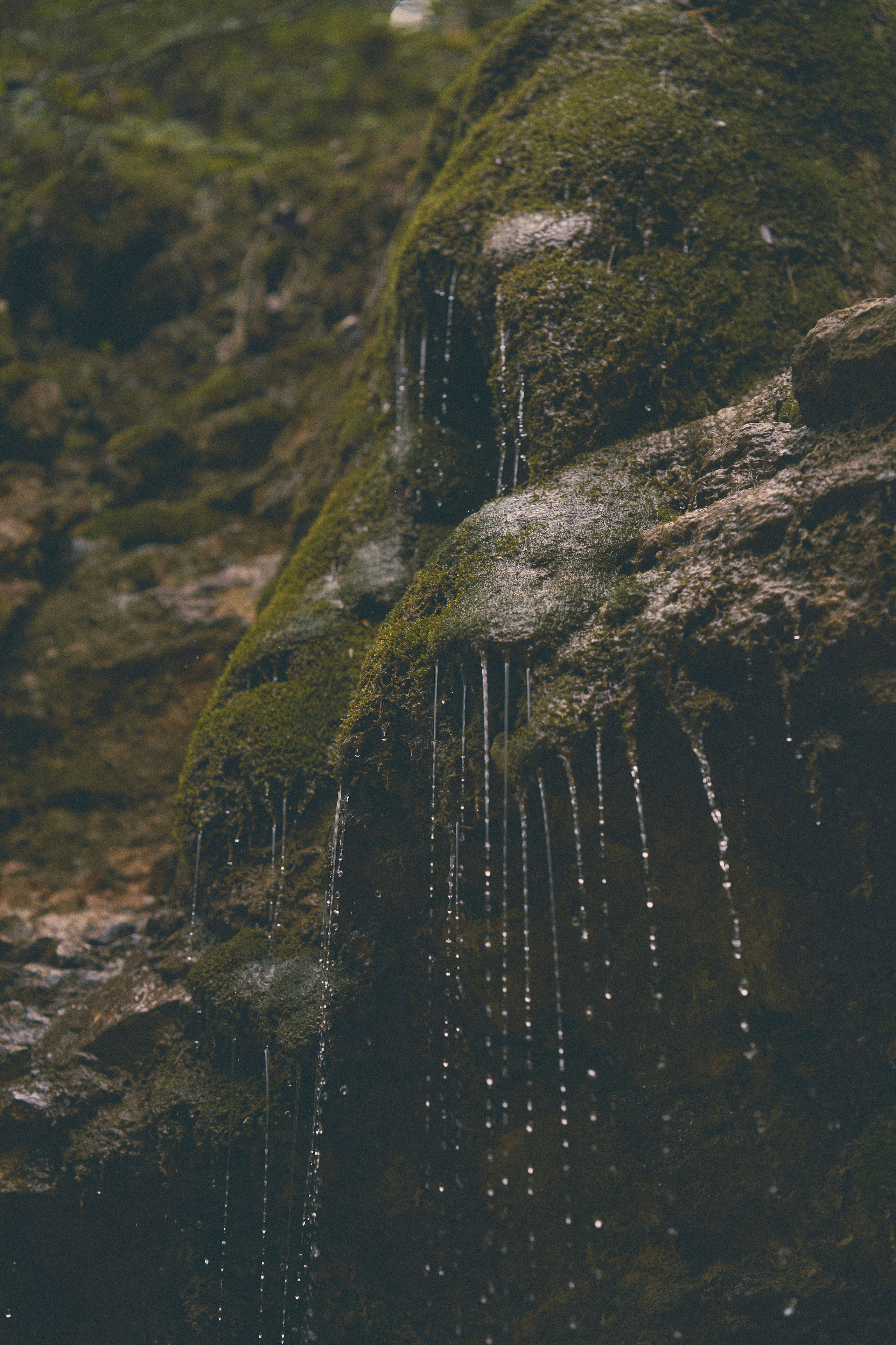 Krasnodar. Гасанова Алина|Фотограф в Санкт-Петербурге