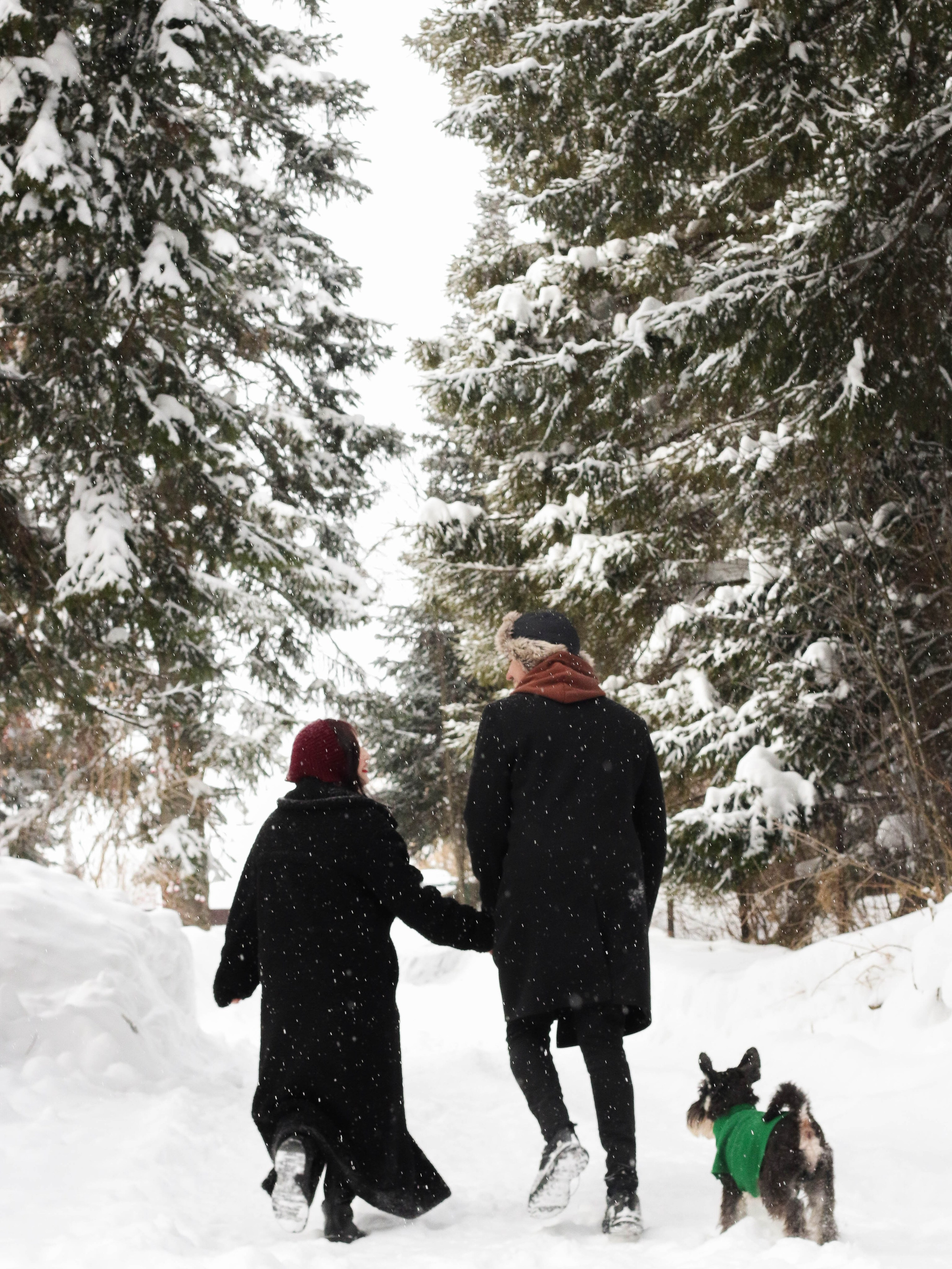 Лавстори. Семейный фотограф в Кемерово Мария Дорожко
