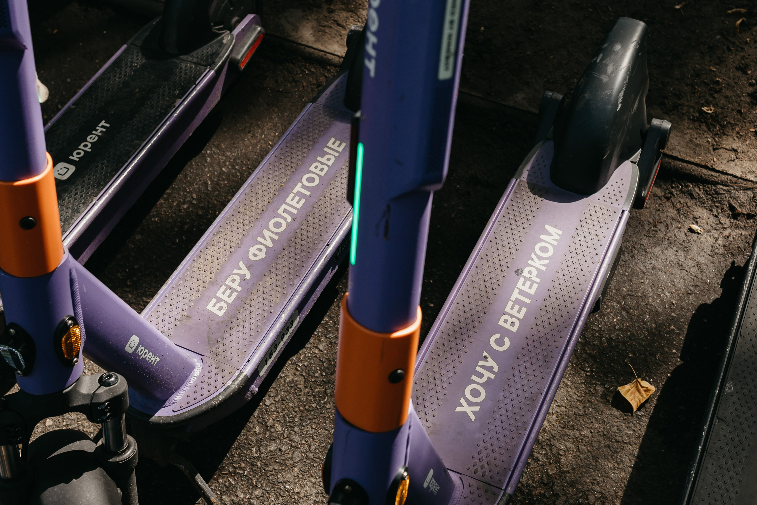 Ваня и Таня. Свадебный и семейный фотограф в Санкт-Петербурге Игорь Бабенко