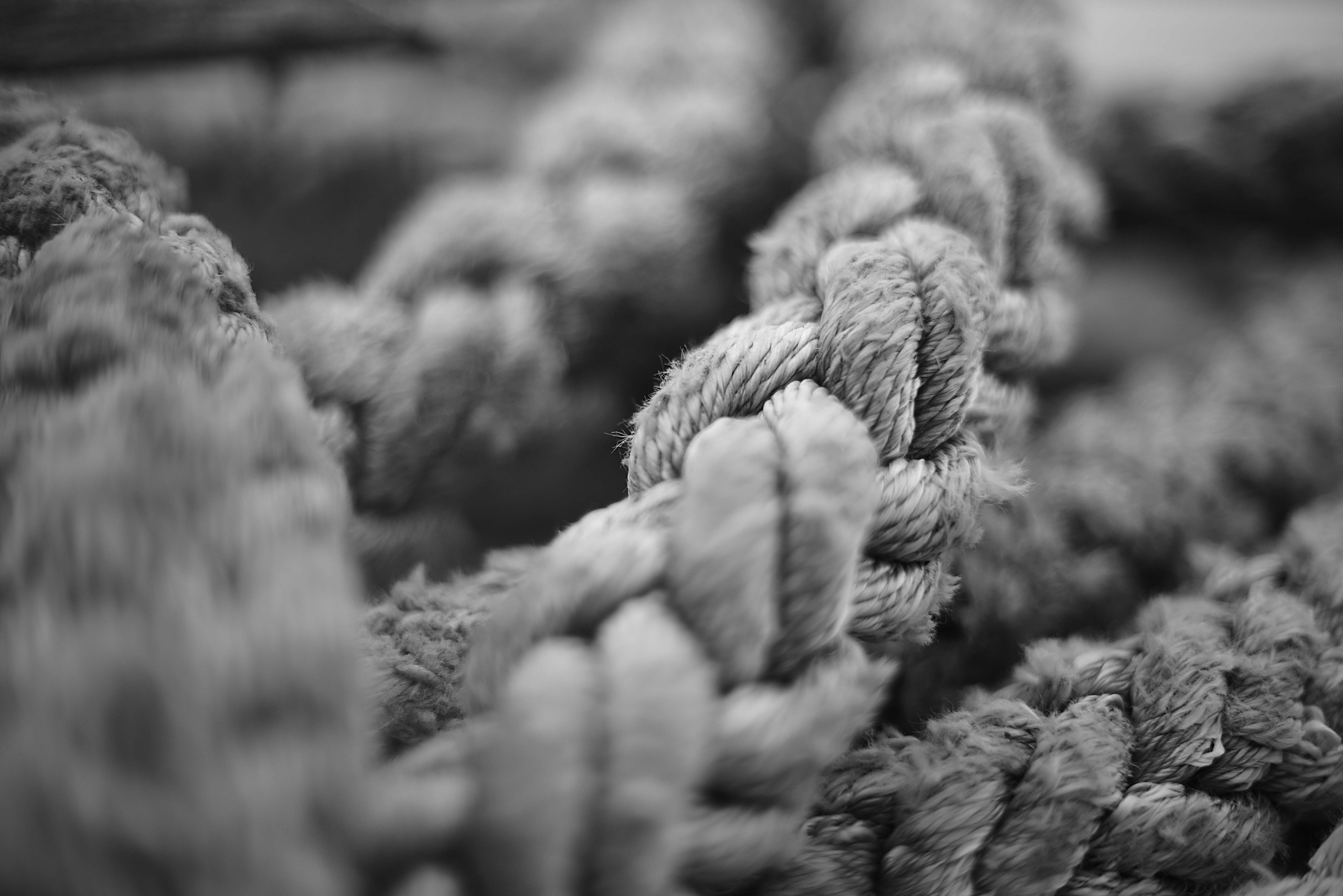 Фотосессия в Туапсе. Мужской портрет. Егор Фотобрат — Портретный фотограф теперь в Ташкенте