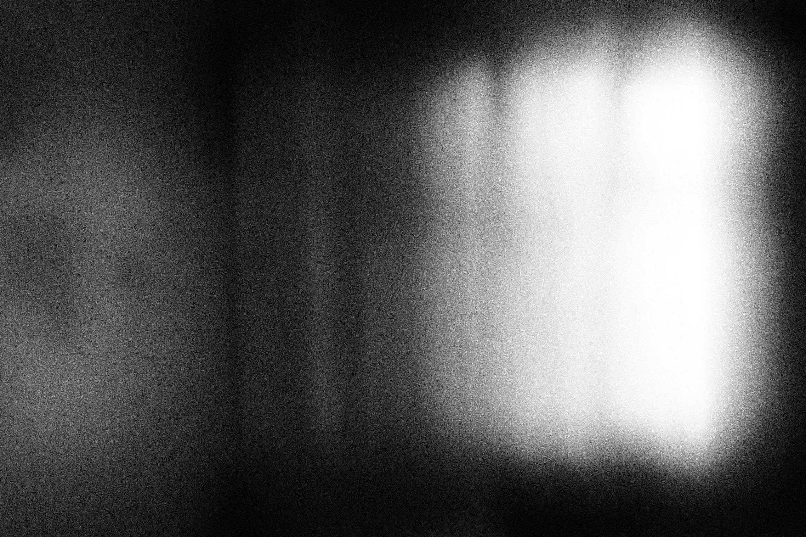 «Видеть. Чувствовать. Сохранять»