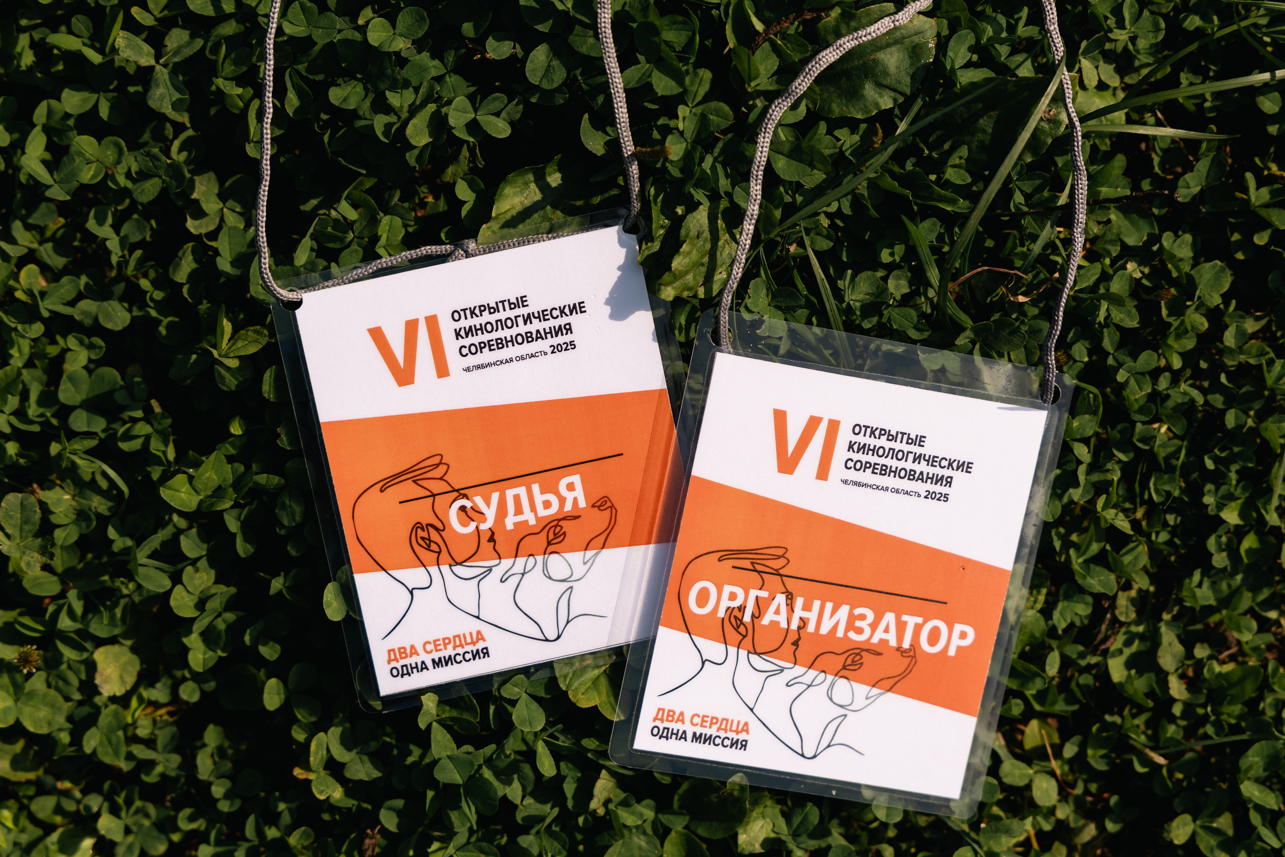 VI ОТКРЫТЫЕ КИНОЛОГИЧЕСКИЕ СОРЕВНОВАНИЯ. ЧЕЛЯБИНСКАЯ ОБЛАСТЬ 2025. Репортажный фотограф Наталья Лапцевич