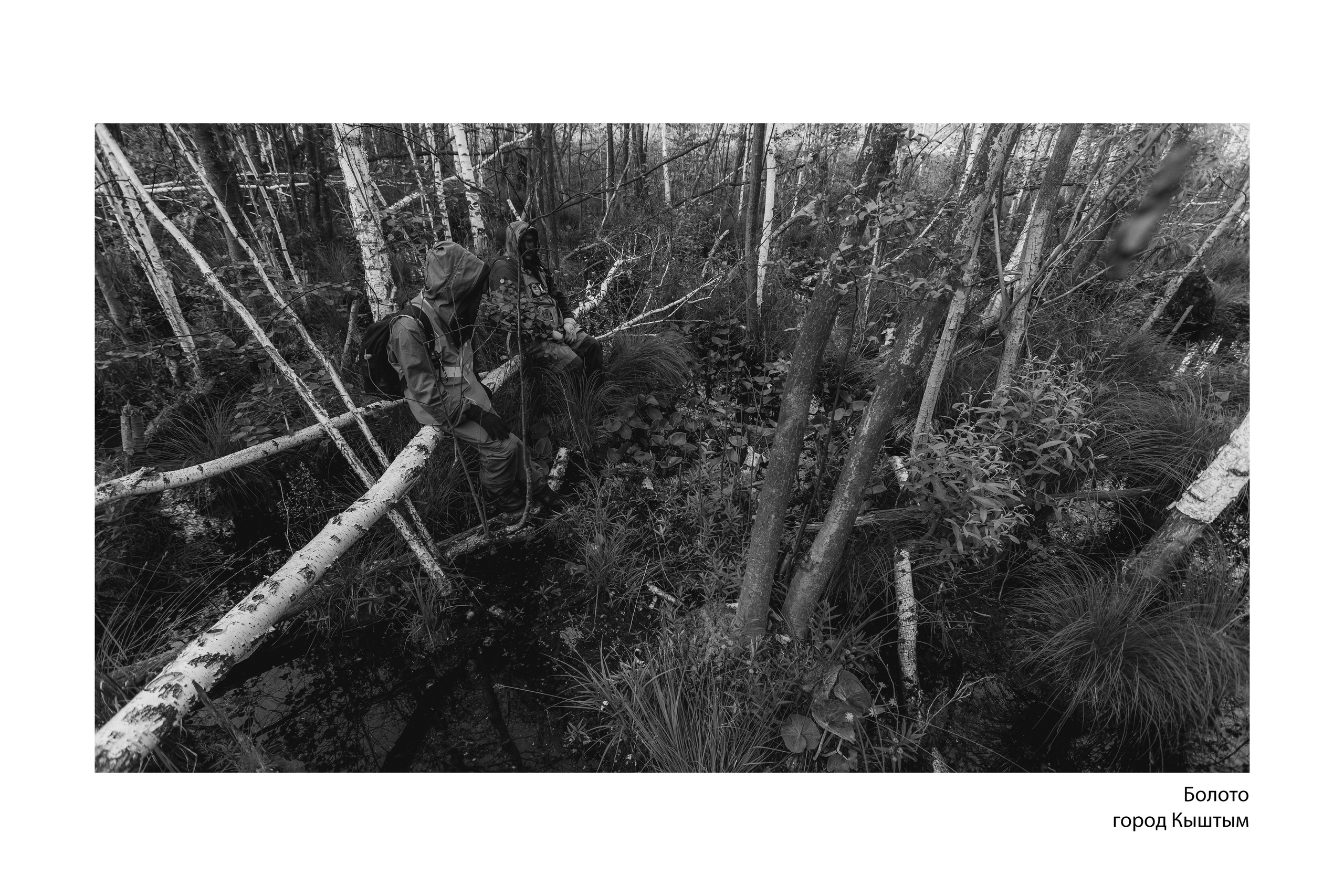 Документальный фотопроект «ЛизаАлерт: вопреки времени». Репортажный фотограф Наталья Лапцевич