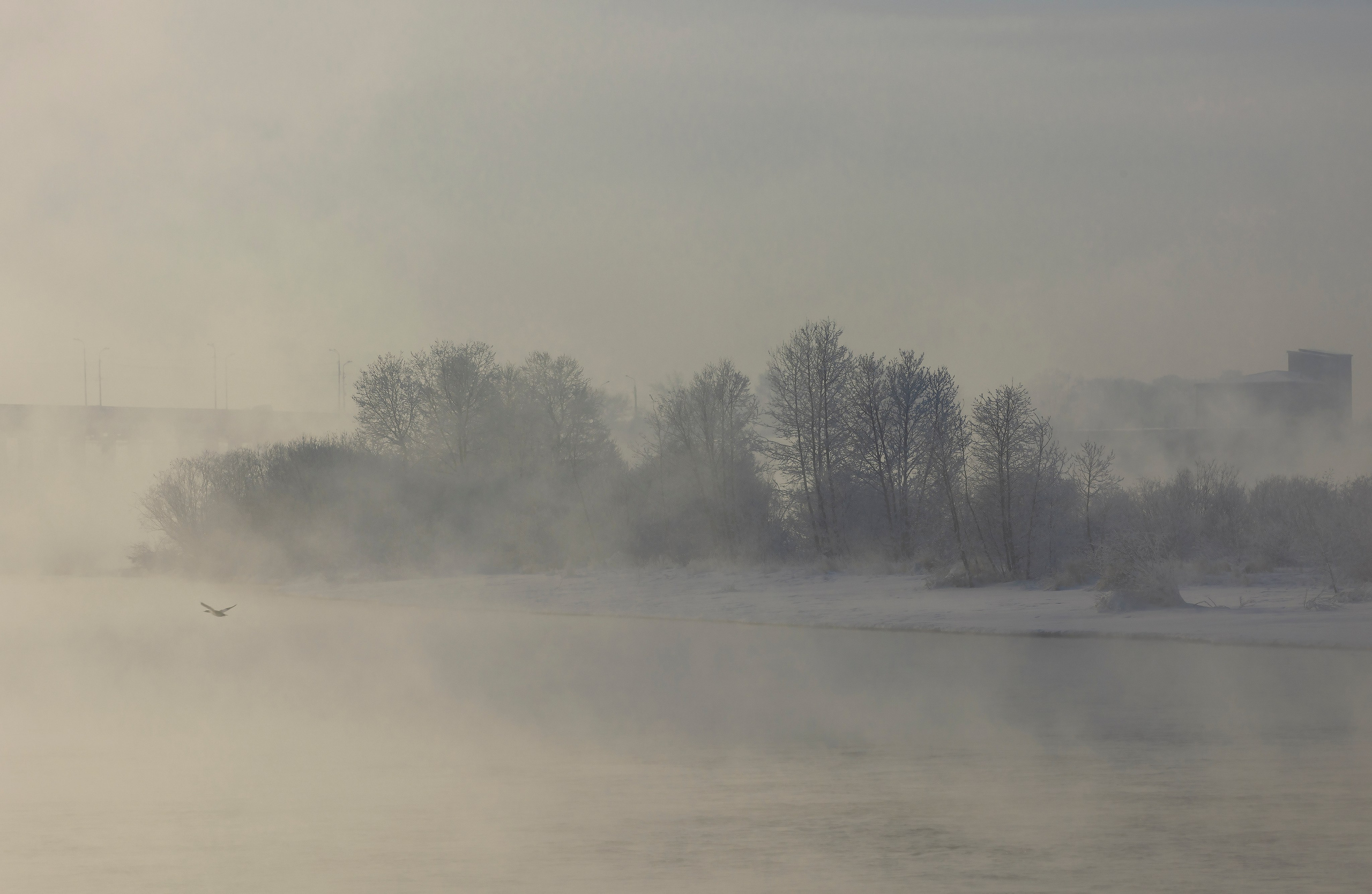 2025 год. Тащилин Сергей. Фотографии. Жизнь. Хобби