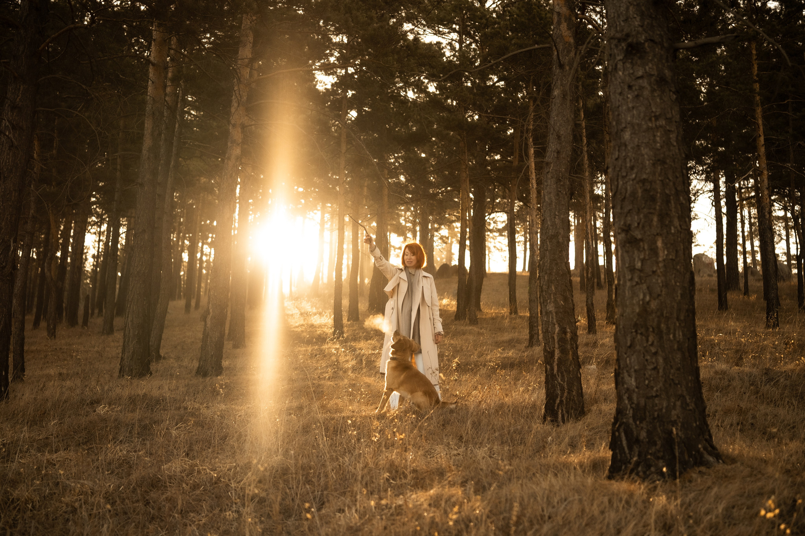 Фотосессия с собакой. Портретный фотограф в Чите Анна Камратова. Помогу Вам создать историю, в которой Вы — главный герой!