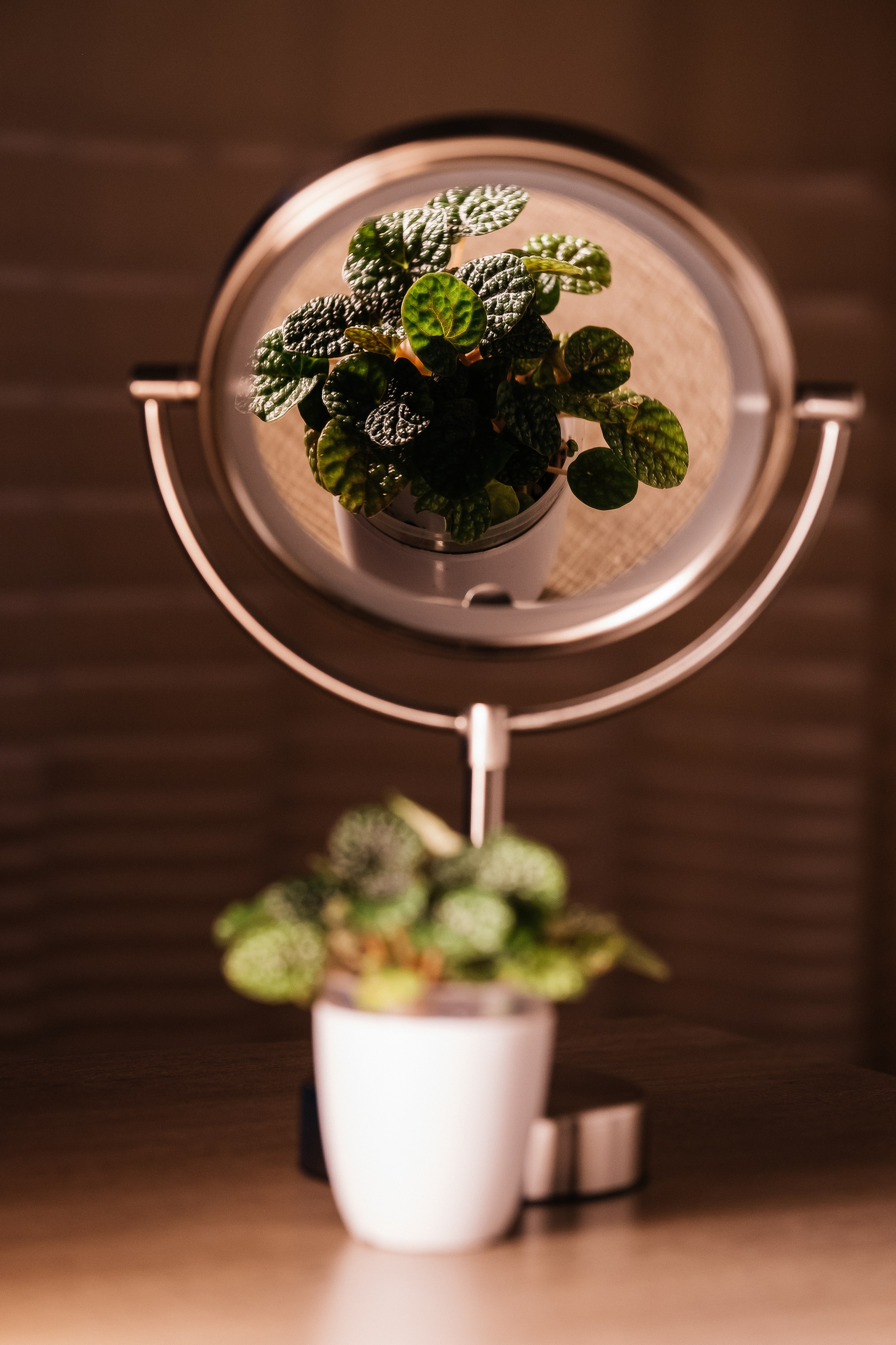 Домашняя фотосессия. Портретный фотограф в Чите Анна Камратова. Помогу Вам создать историю, в которой Вы — главный герой!