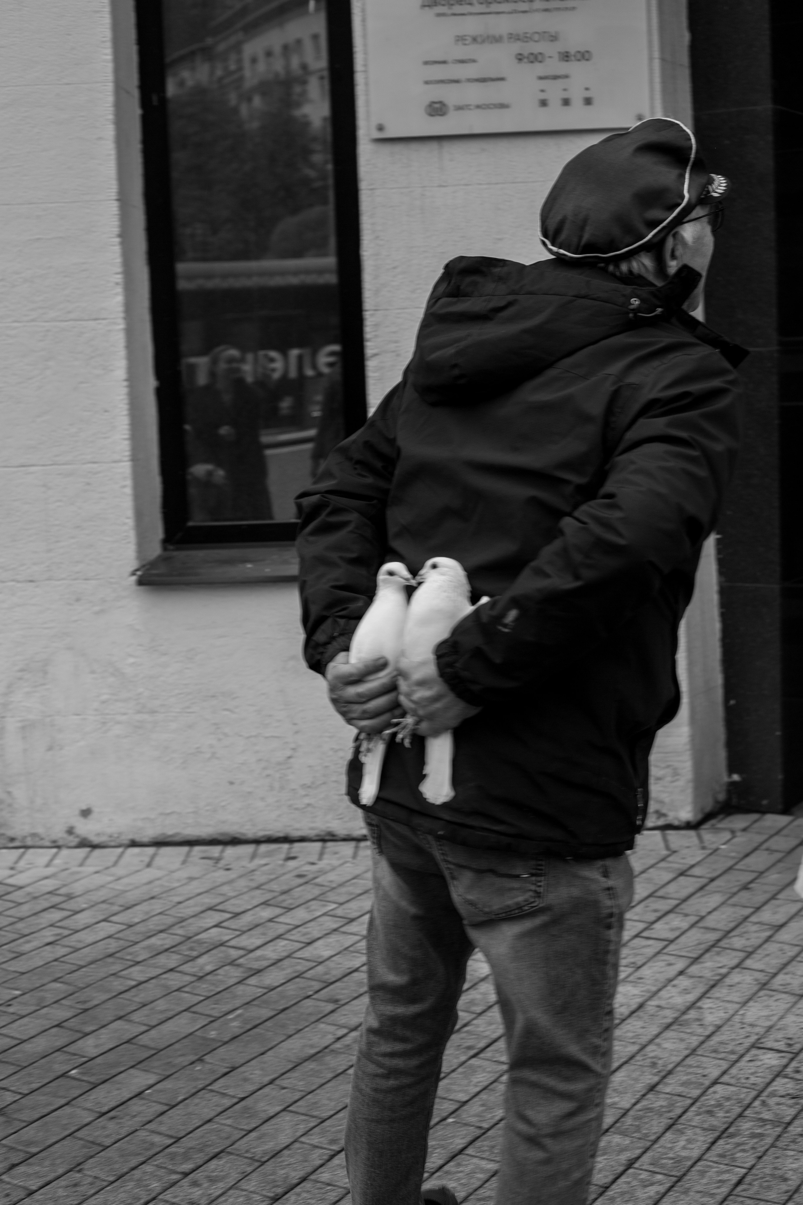 Артём Мэри Свадьба. Գլխավոր