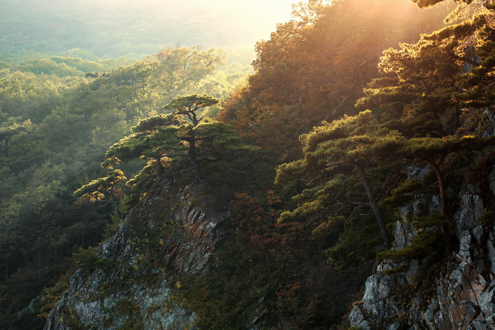 Пейзаж. Андрей Кровлин — фотограф в Славянке