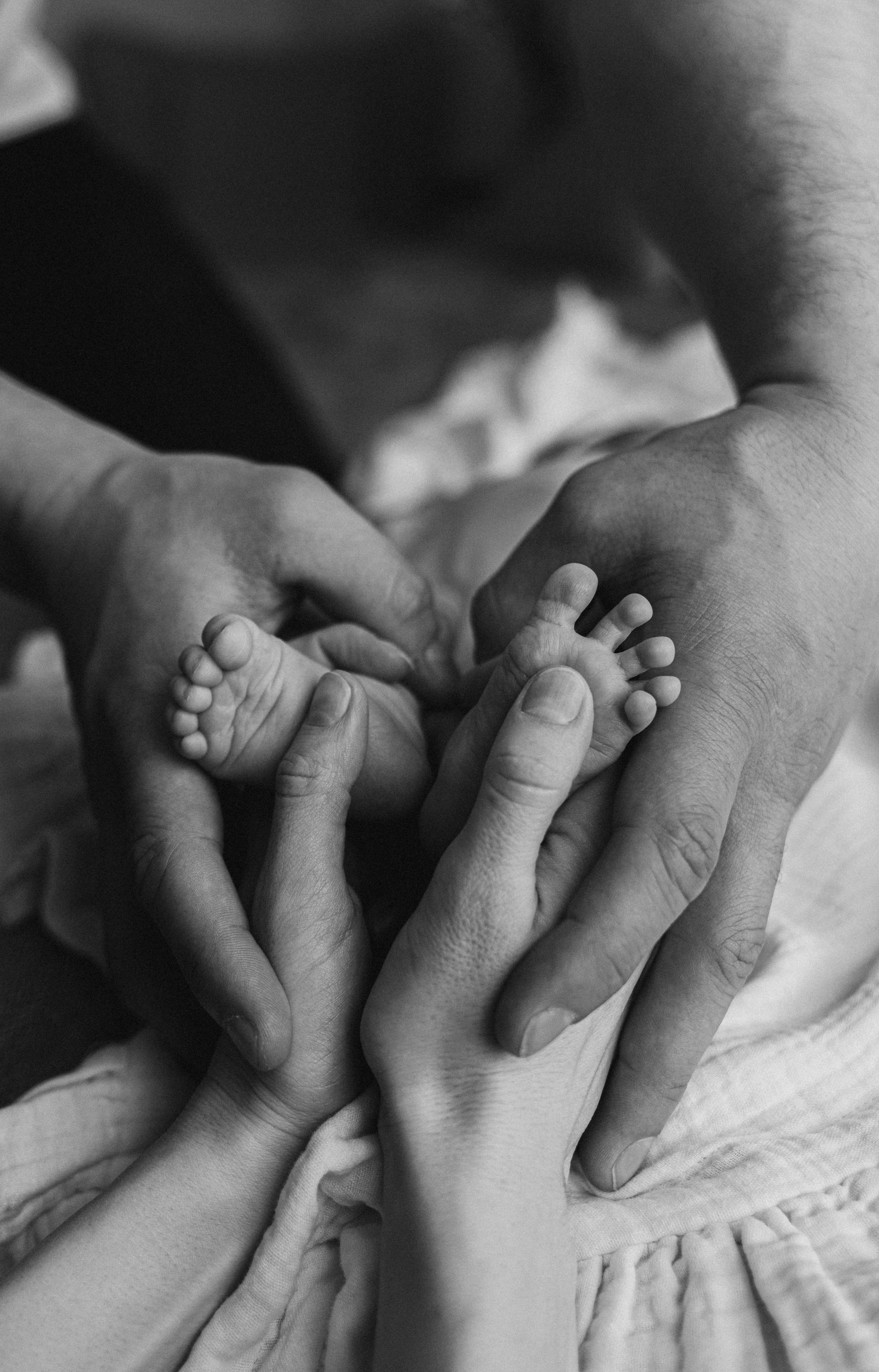 Новорожденные. Фотограф Москва