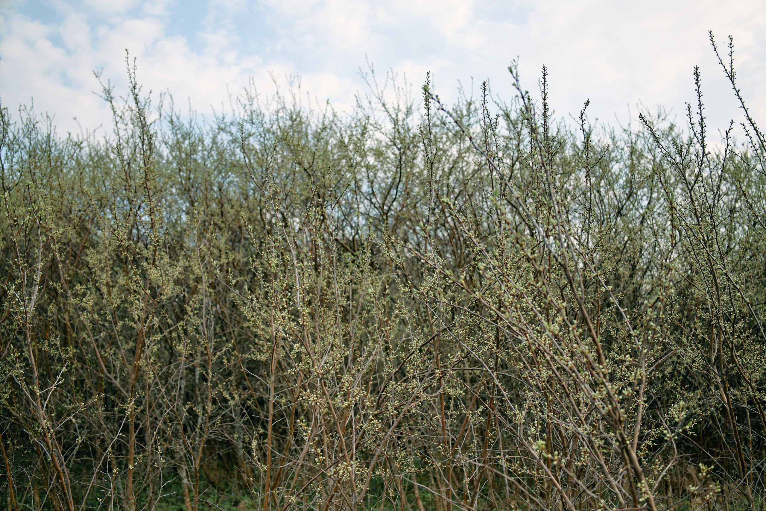 Бутик-отель Поле летом. Профессиональный Фотограф во Владимире, в Москве и в Суздале — Полина Романычева