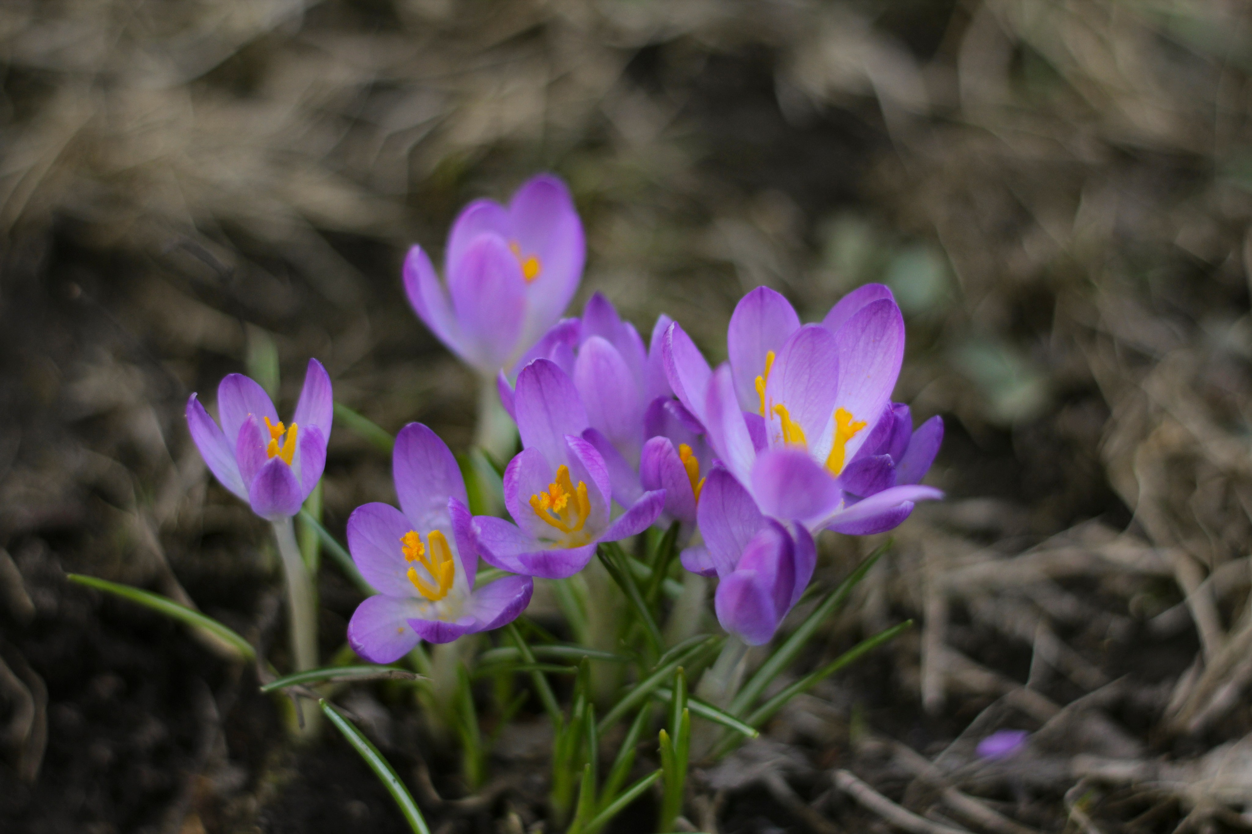 Предметная фотография. Семейный и детский фотограф в Москве Анастасия Крейнина