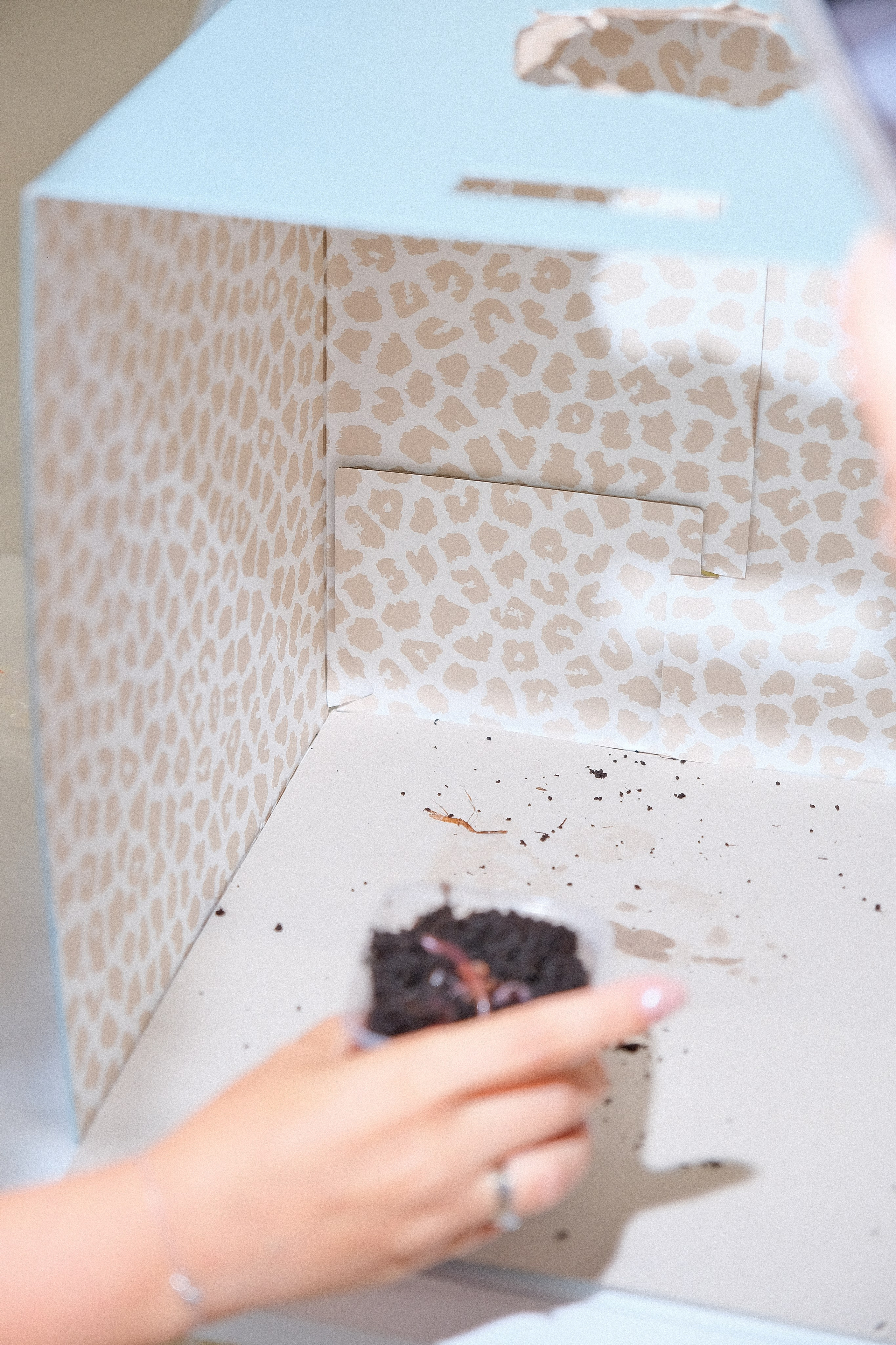 Репортаж. Фотограф и видеограф в Омск/Москва Сащенко Лера