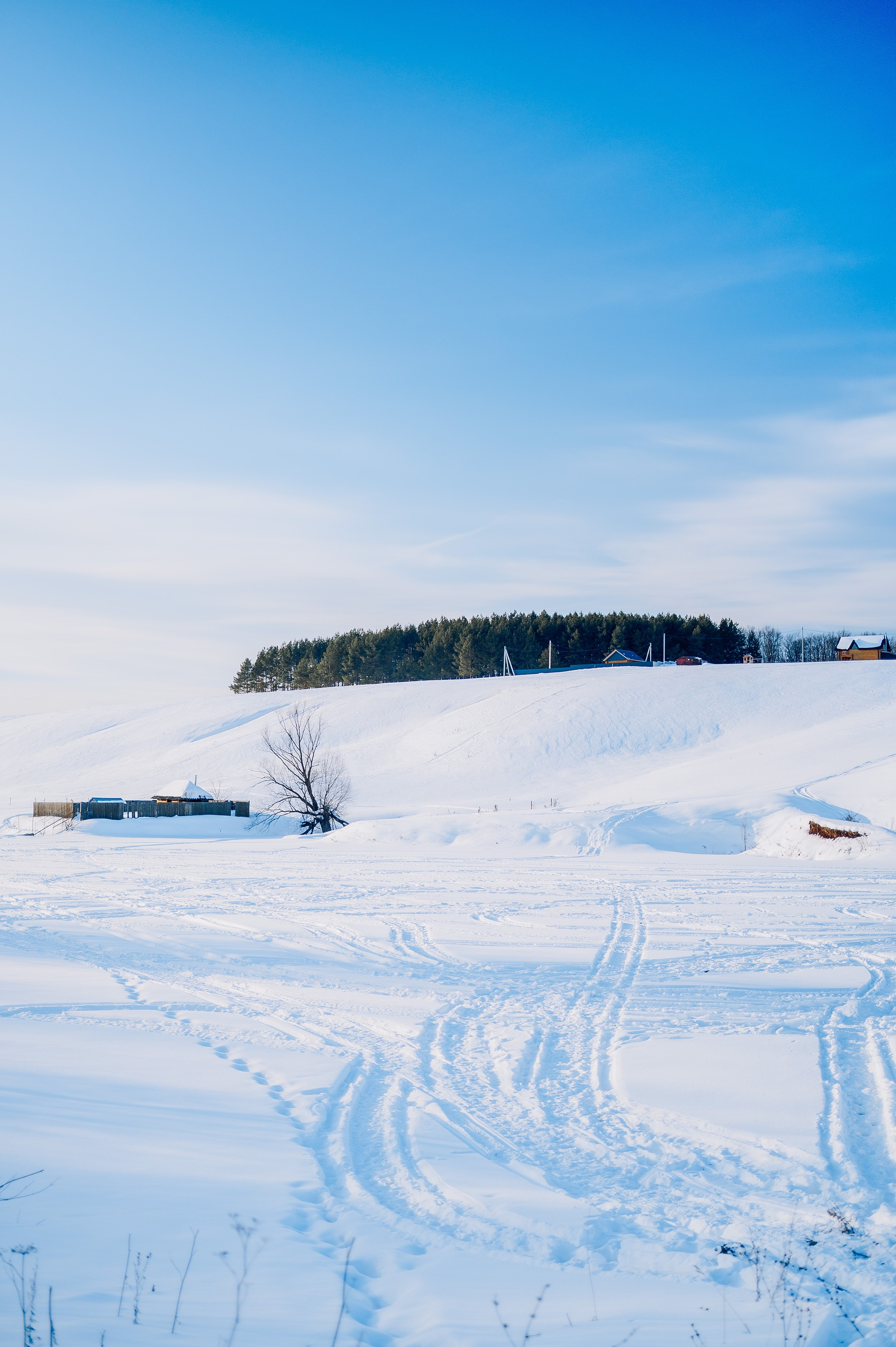 База отдыха «Заимка», Чувашия, февраль 2024. Фотограф Александр Золотых