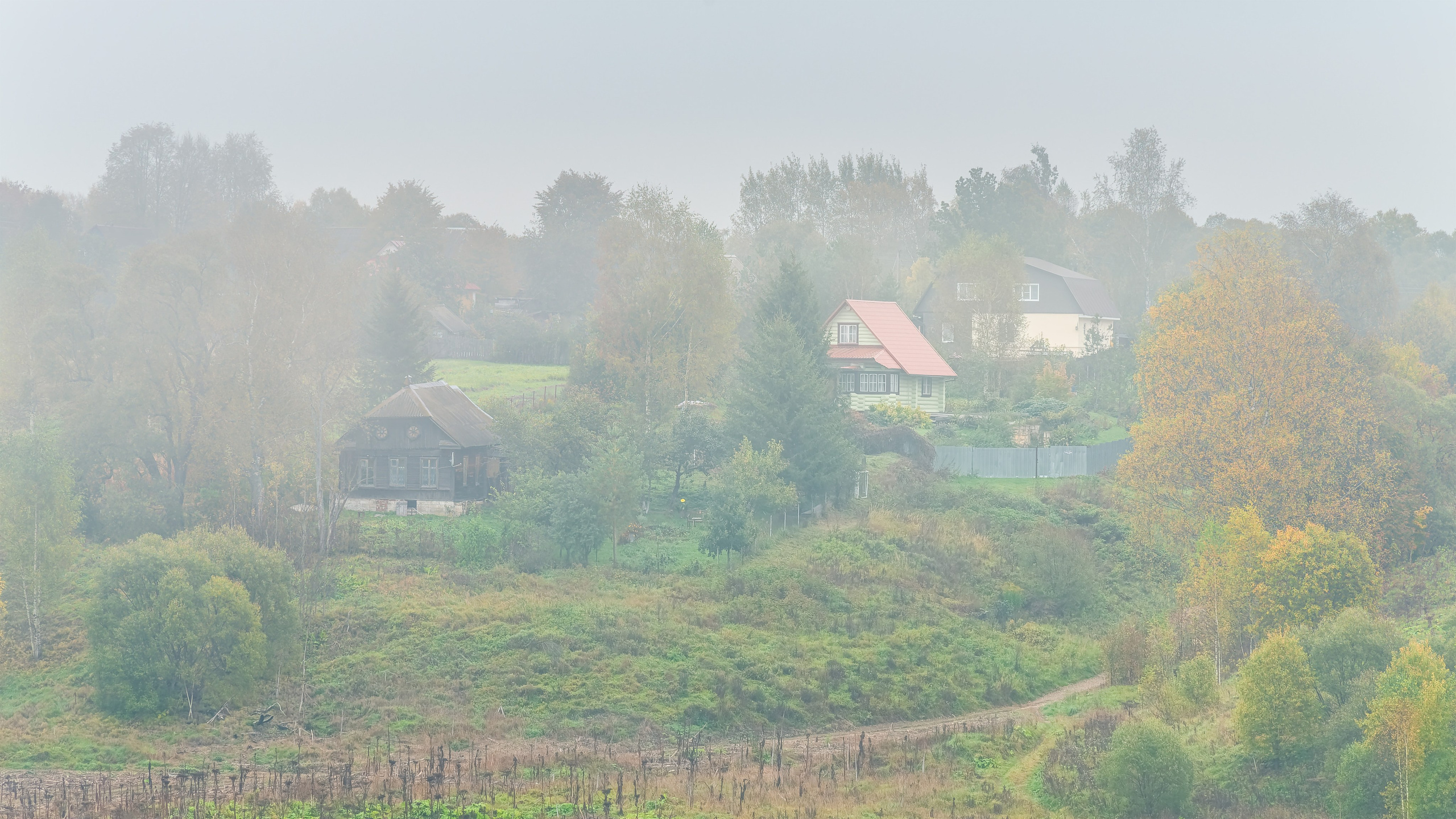 Фото Павла Крайникова