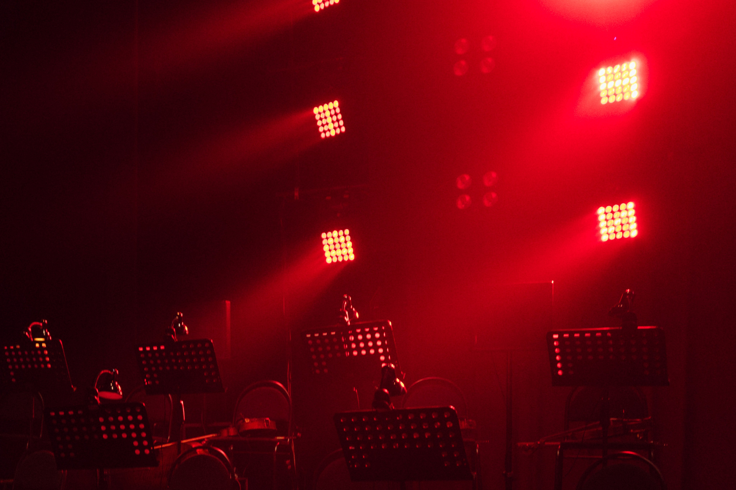 Концерт «ТИТРЫ»: Рита Ричи и оркестр Ильи Филиппова 15.02.25. Свадебный фотограф в Краснодаре и Сочи Винидиктова Екатерина