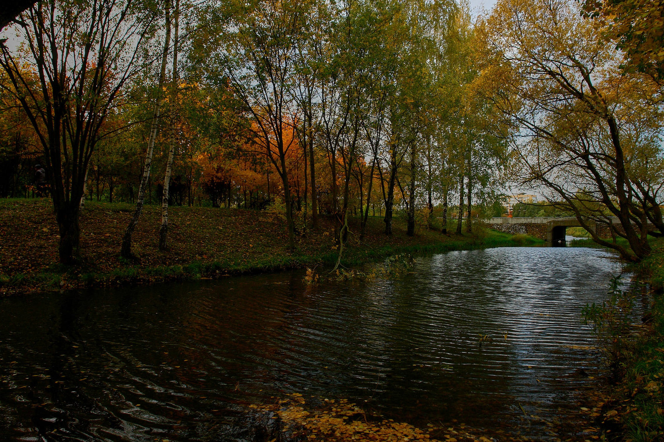 Природа. Фотоаматар з Мінска. Фотограф в Минске