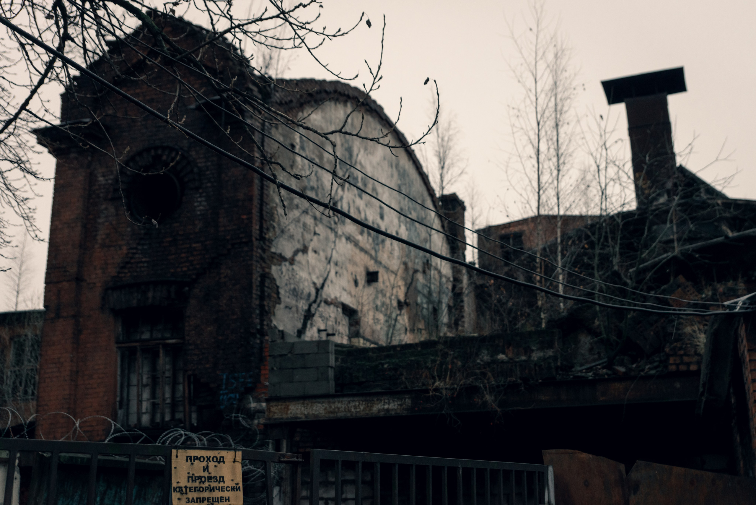 Выжившая. Фотограф Крещение Венчание Москва