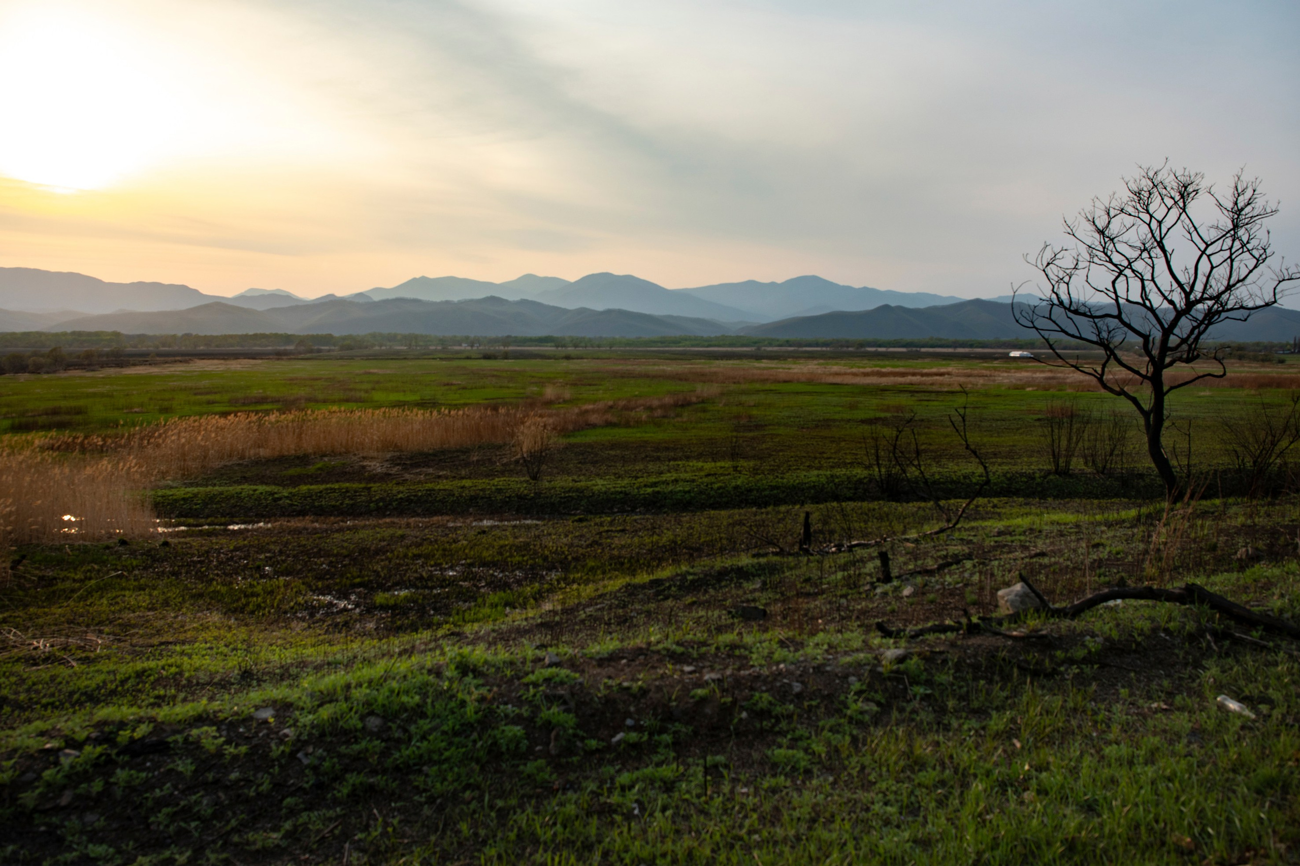 Природа Хабаровского края. Команда фотографов Кристины Ивановой