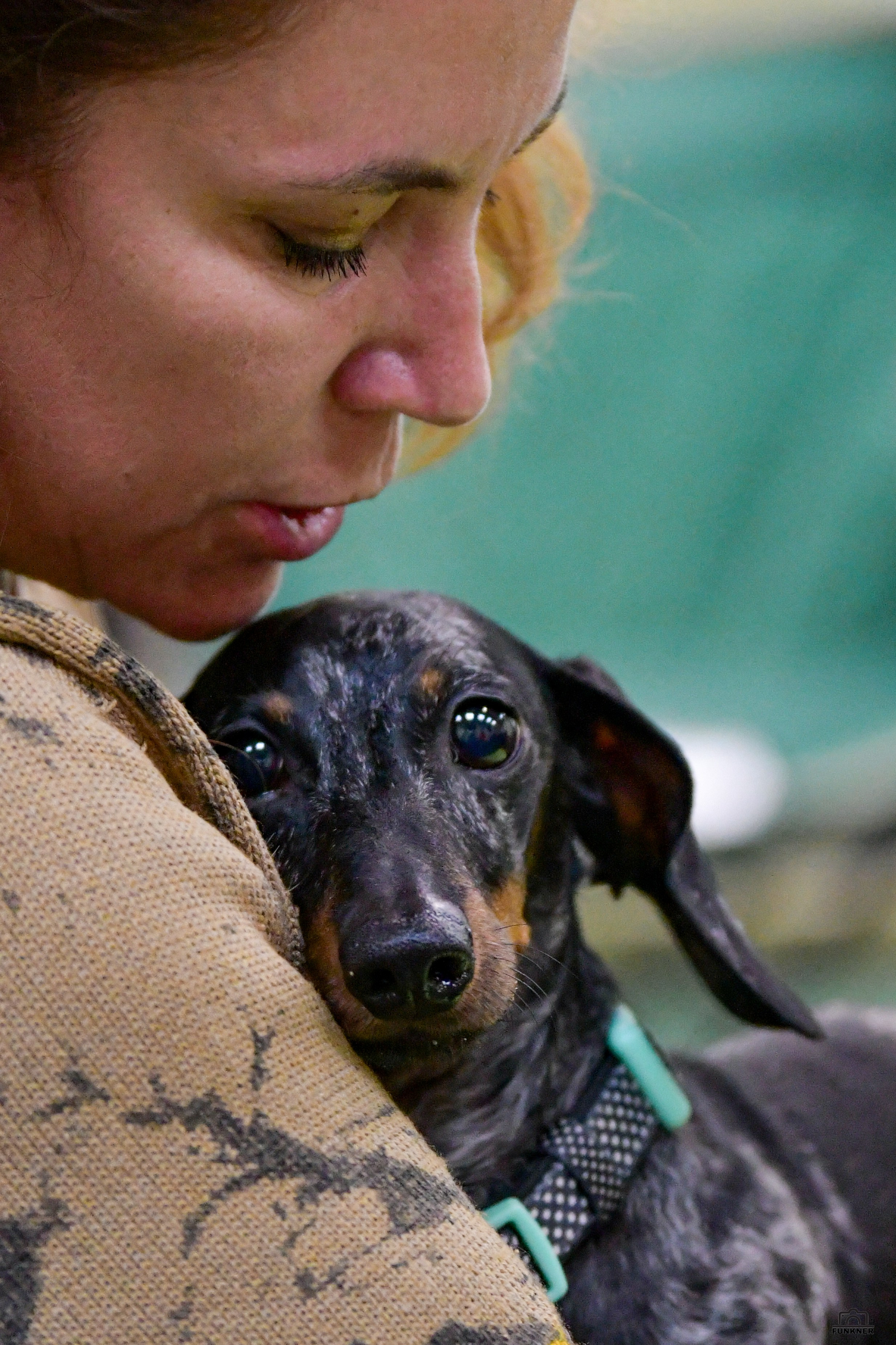 Кинологический клуб «Бодрый хвост». Свой взгляд через объектив