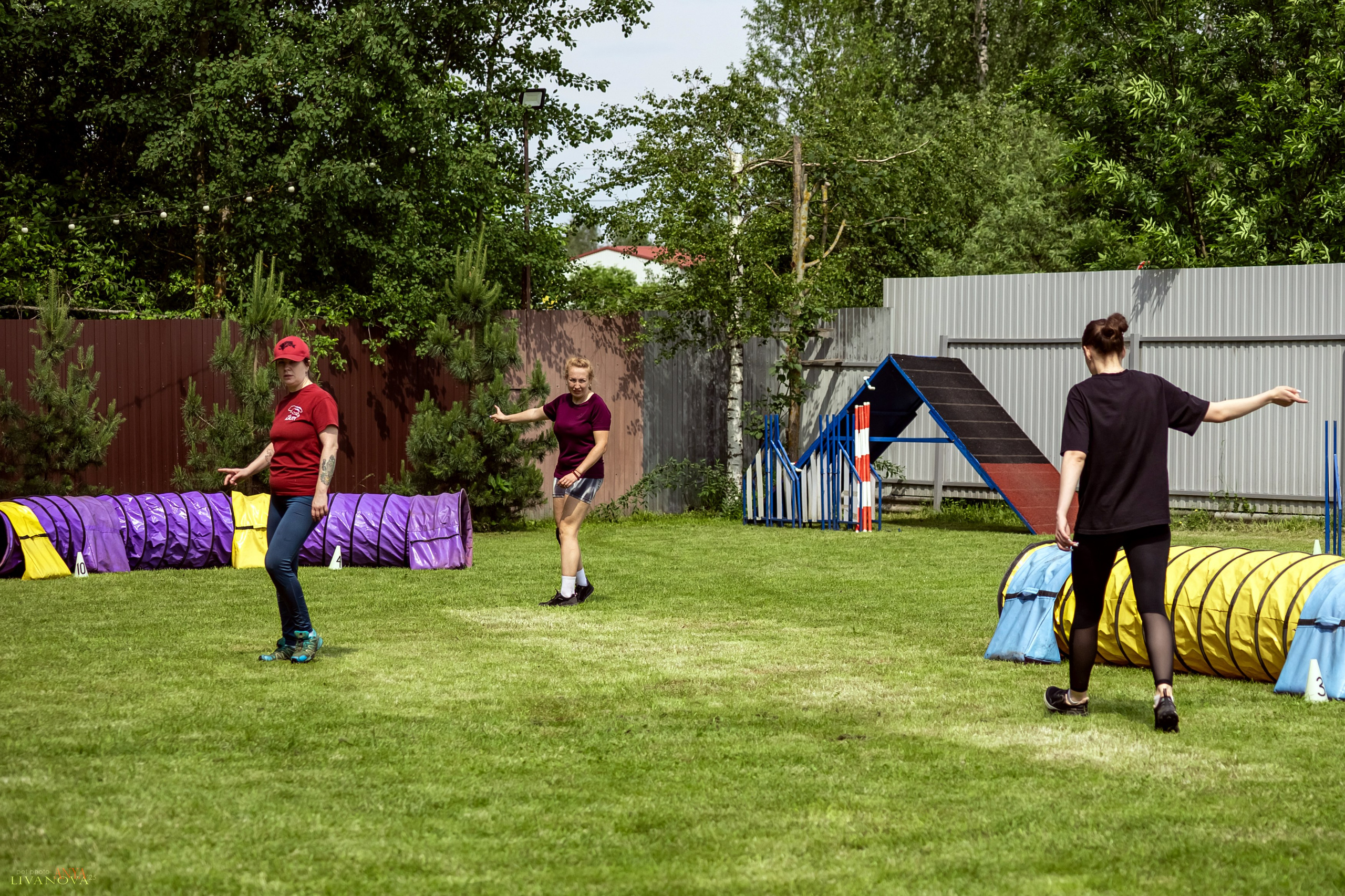 Аджилити Рыбинск. Фотограф анималист Аня Ливанова | Рыбинск
