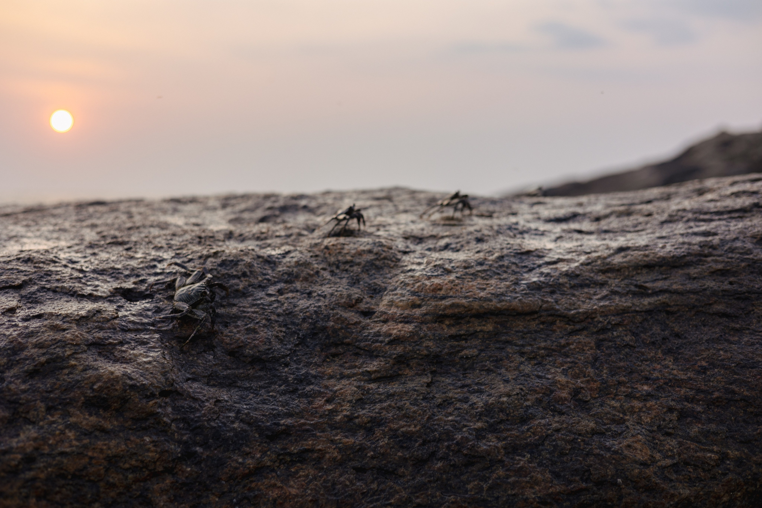 Амбалангода. Фотограф Сонкина Татьяна