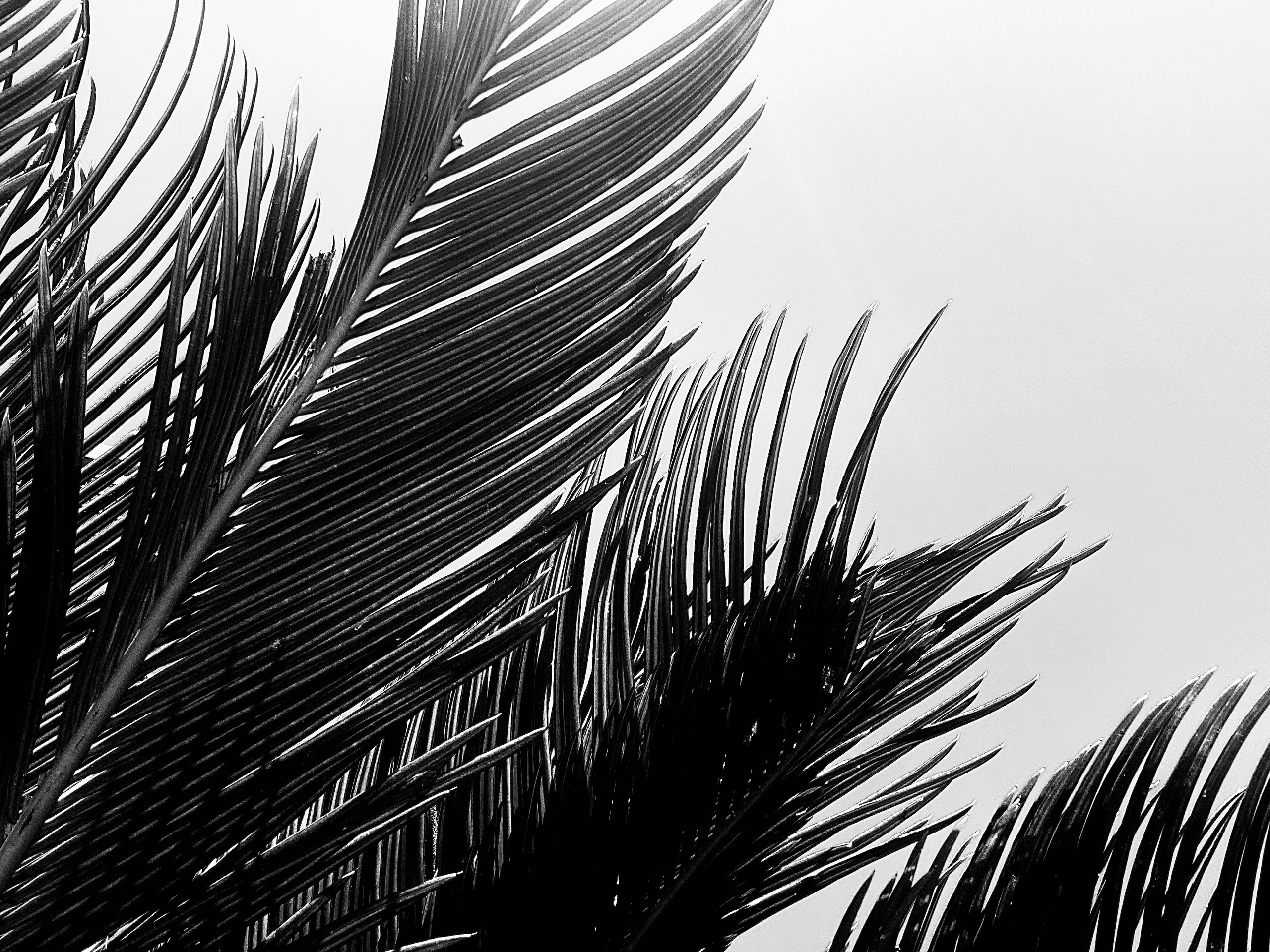 КАТЕРИНА ТУРИЛКИНА | ФОТОГРАФ СОЧИ КРАСНОДАР