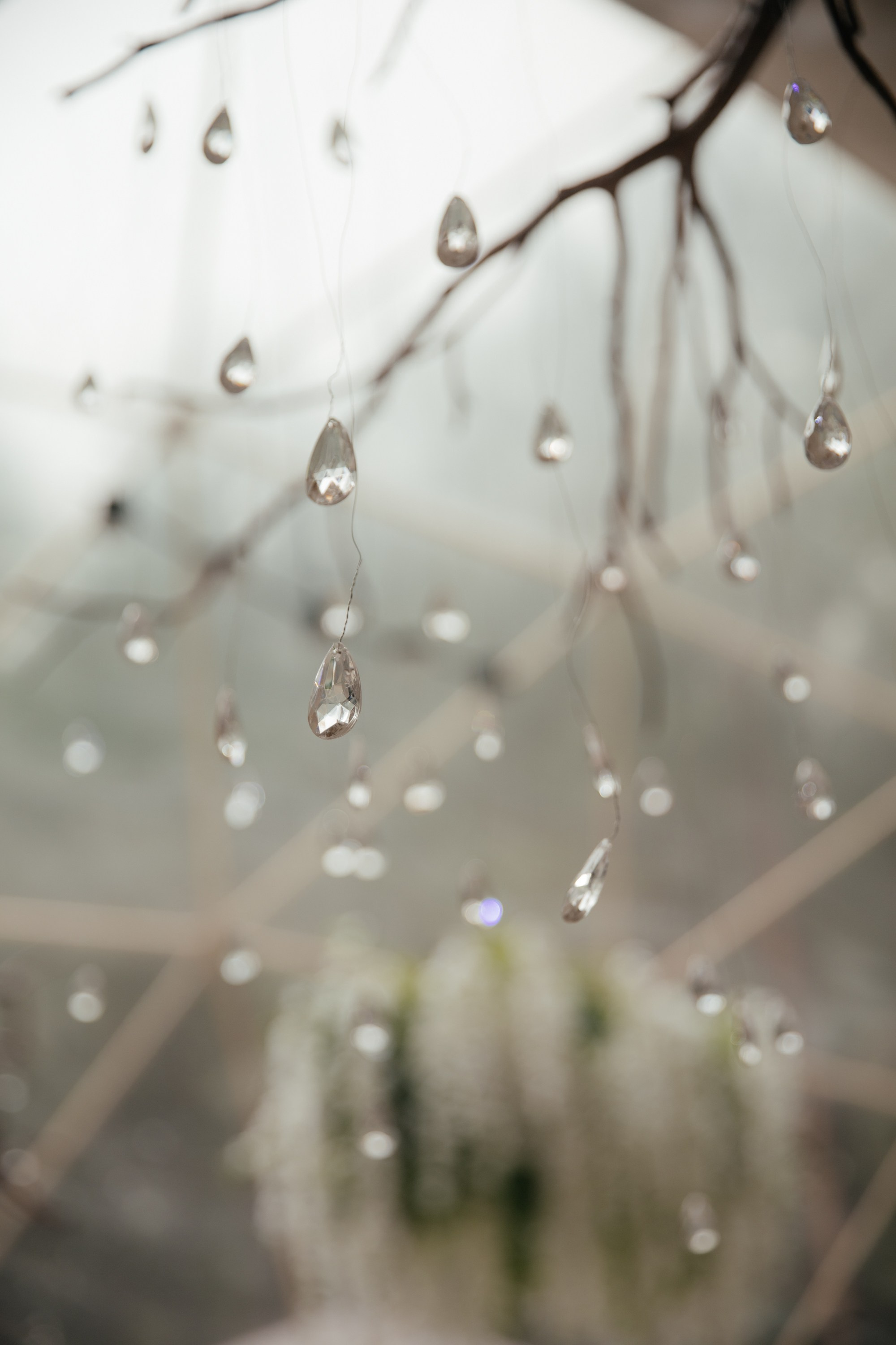 Егор и Дарья. Фотограф Барнаул Полина Теплова