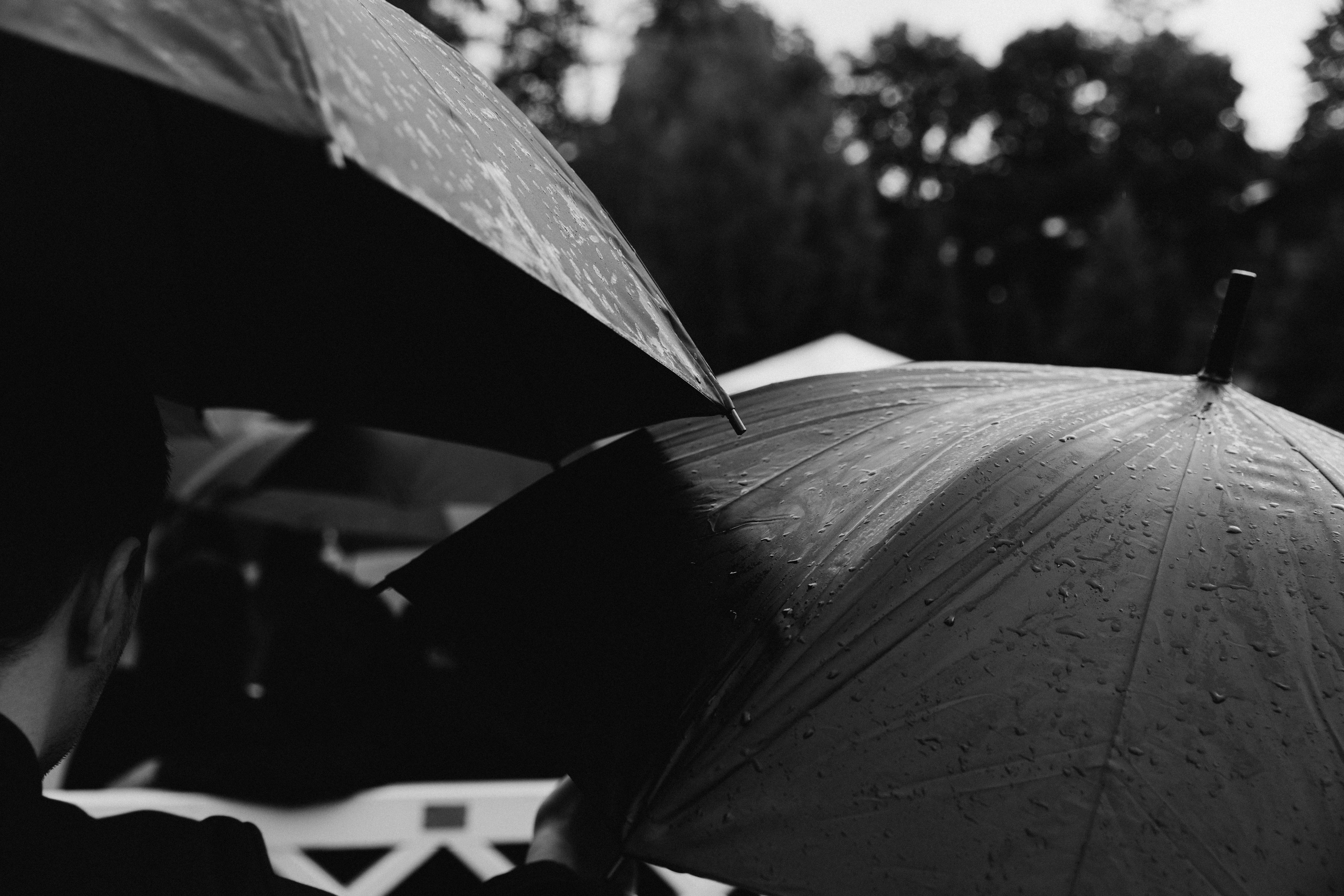 Александра и Илья. Свадебный и портретный фотограф в Калининграде и Москве Марк Юдинцев