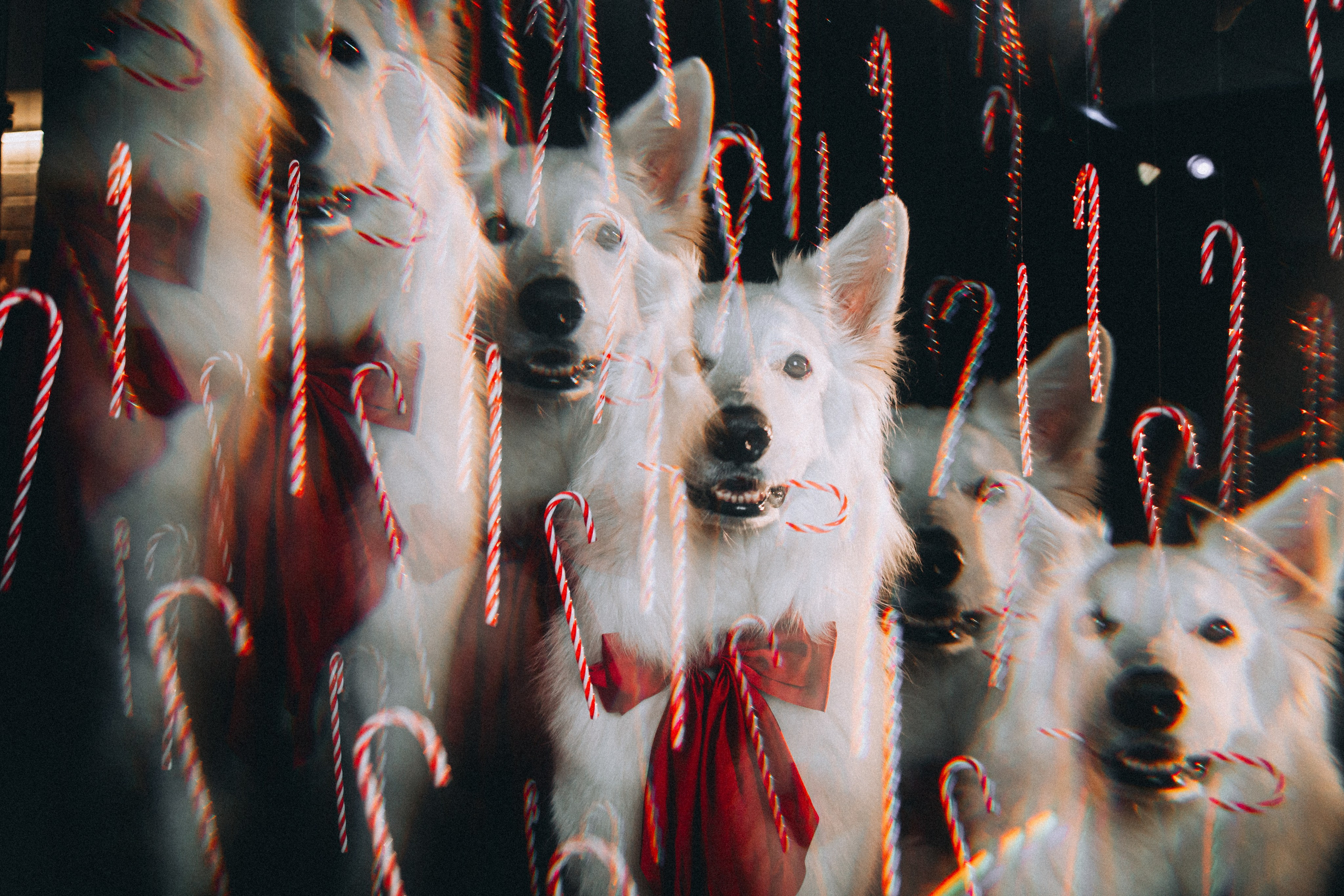 Джек, Бет и Кову