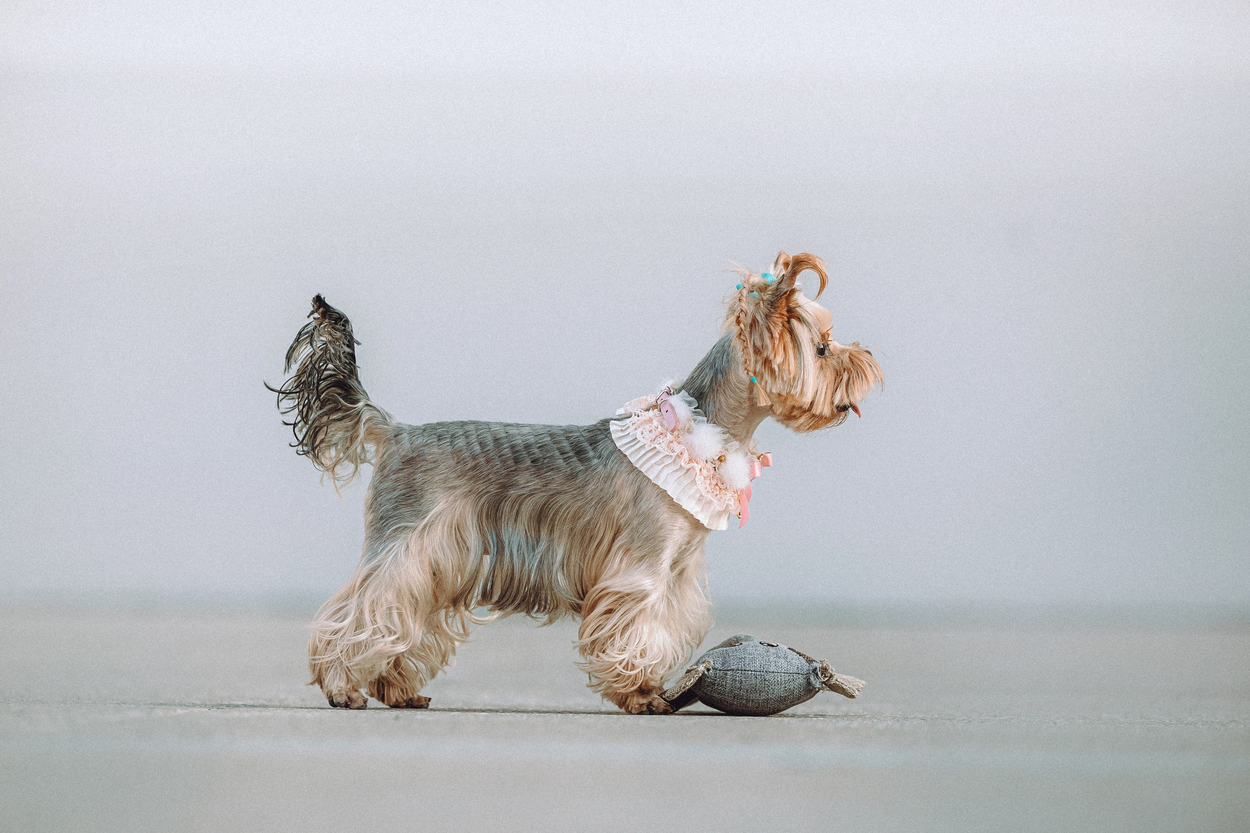 Дженни, Оливия и их семья