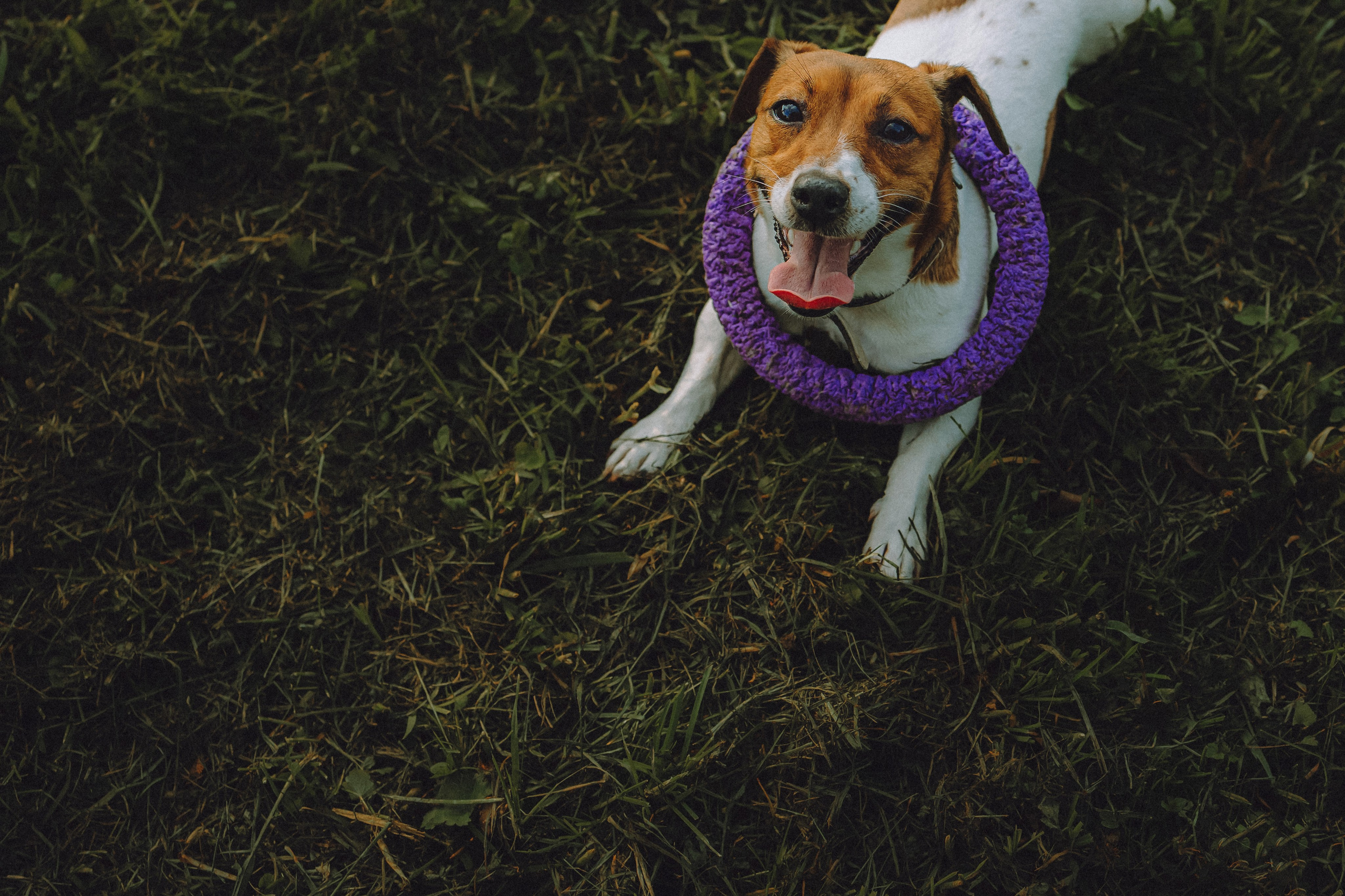 Шерри и ее семья