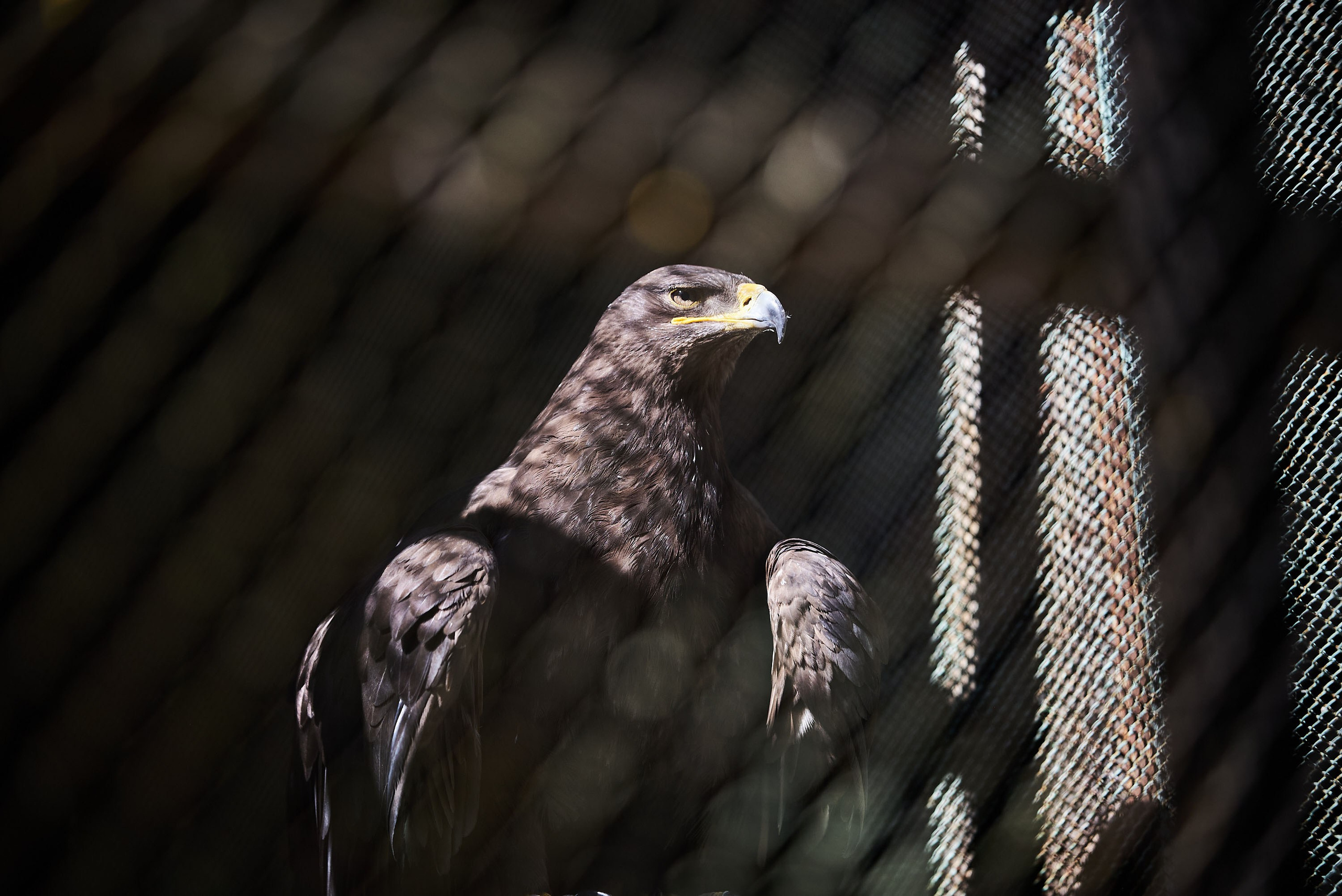 Зоопарк Иваново. Фотограф в Иваново: Каталожная съемка одежды и постельного белья, Wildberries