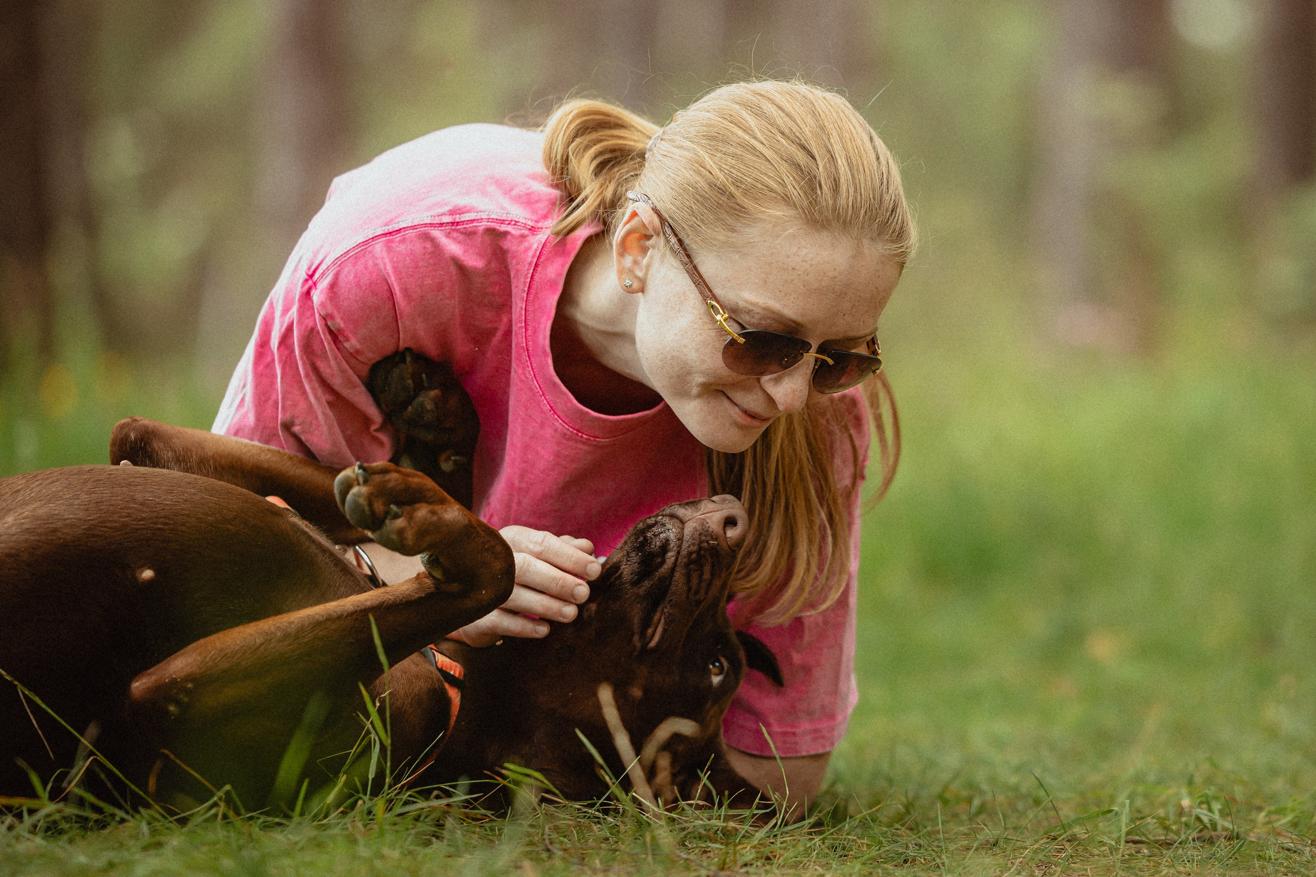 Выездной дог-тренинг от школы «Шерсть имею»