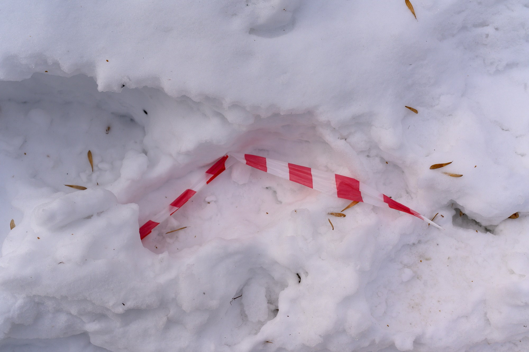 Образ действия. Наталия Шульгина — визуальный художник, фотограф