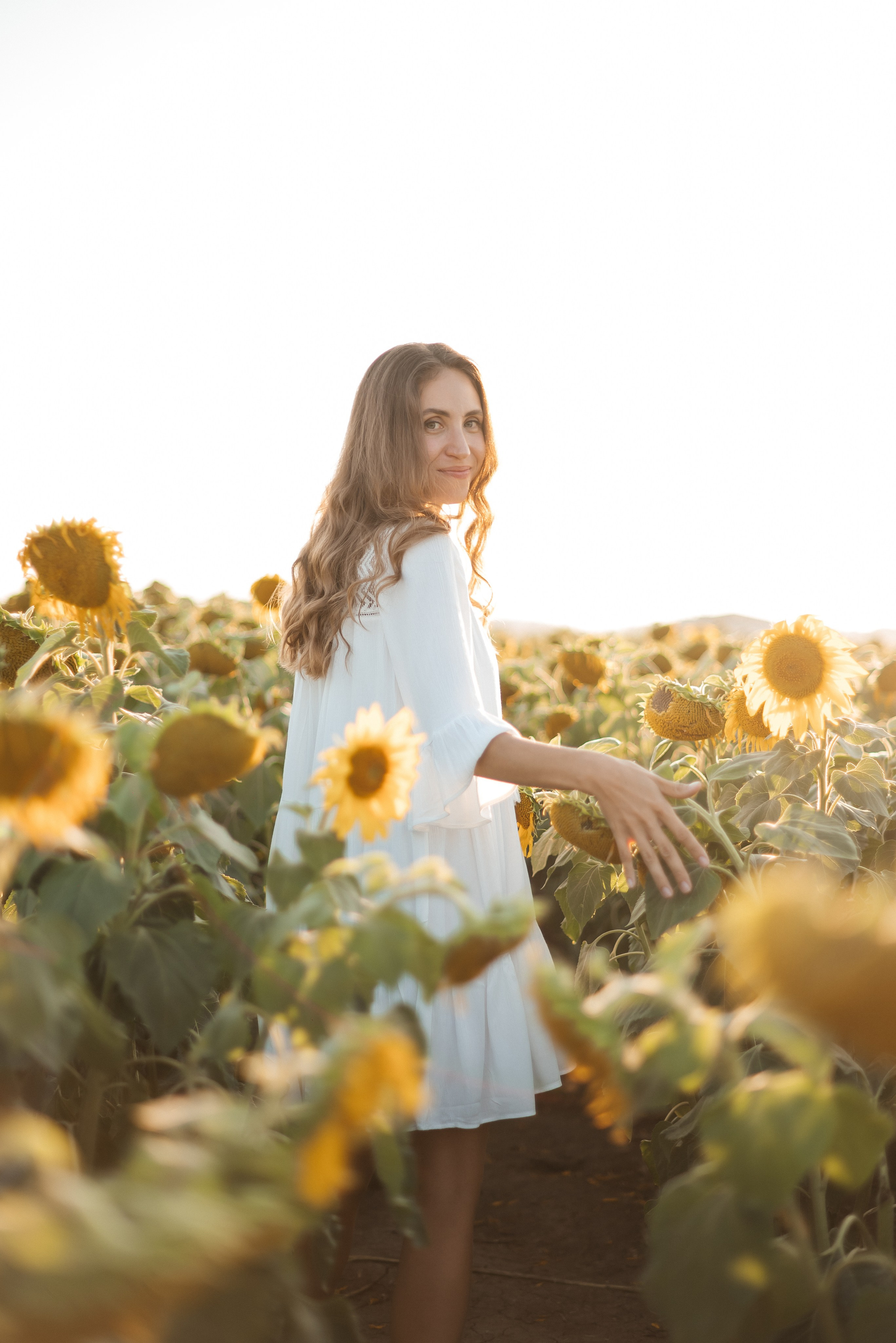 Подсолнечно. Свадебный фотограф