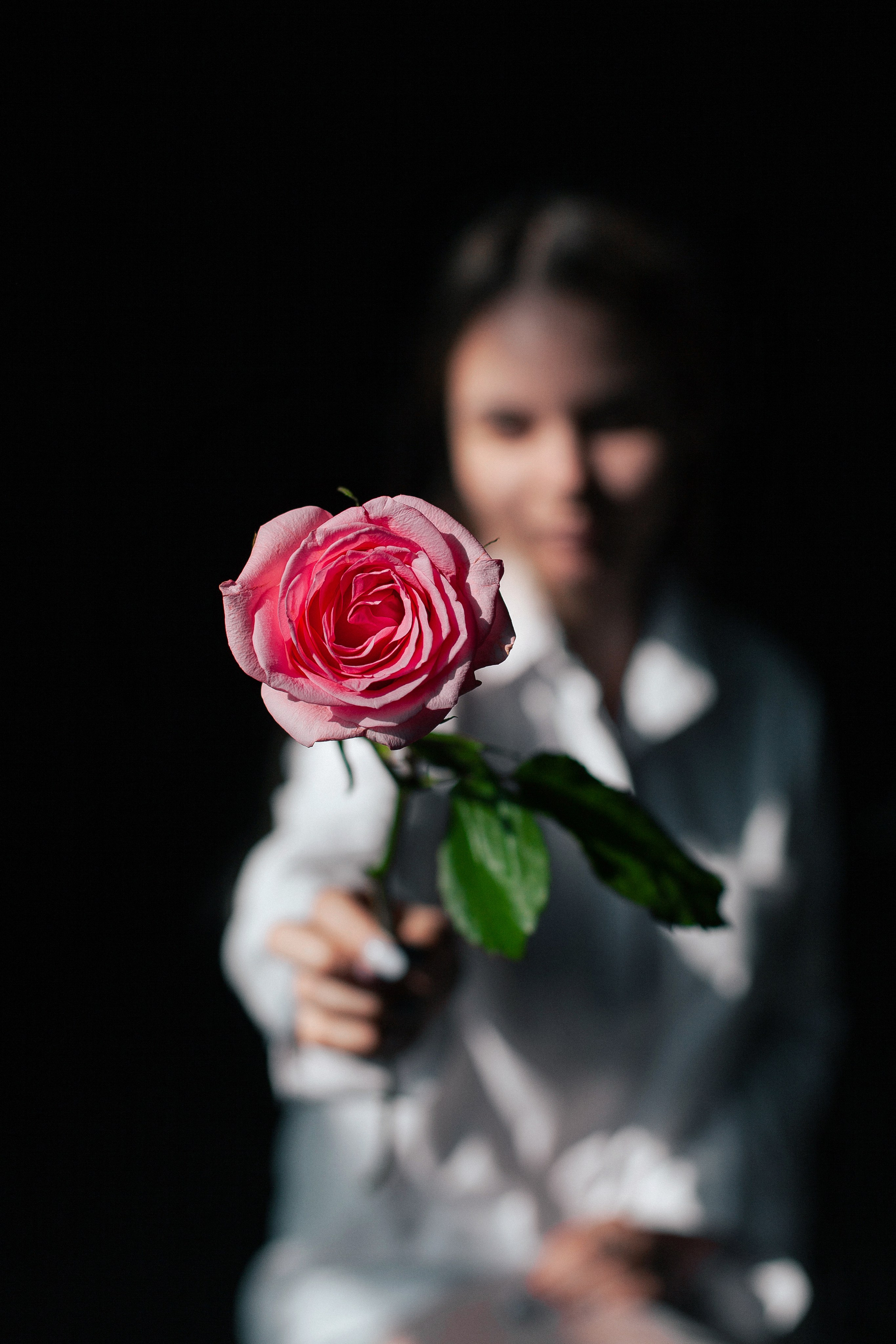 Весенняя роза. Фотограф в Волгограде Норченко Светлана