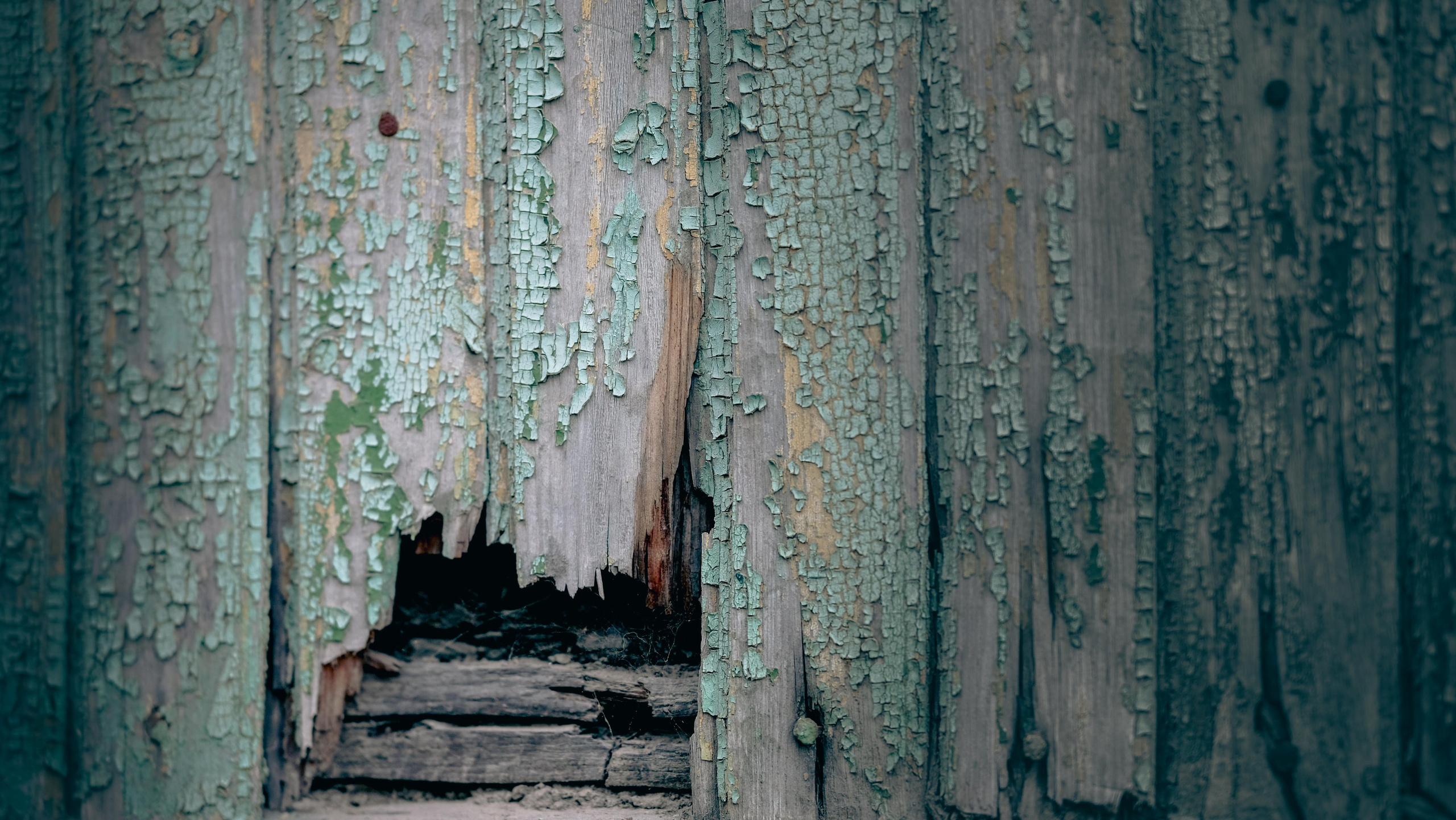 Город. KRUTOVA_фотографирую жизнь