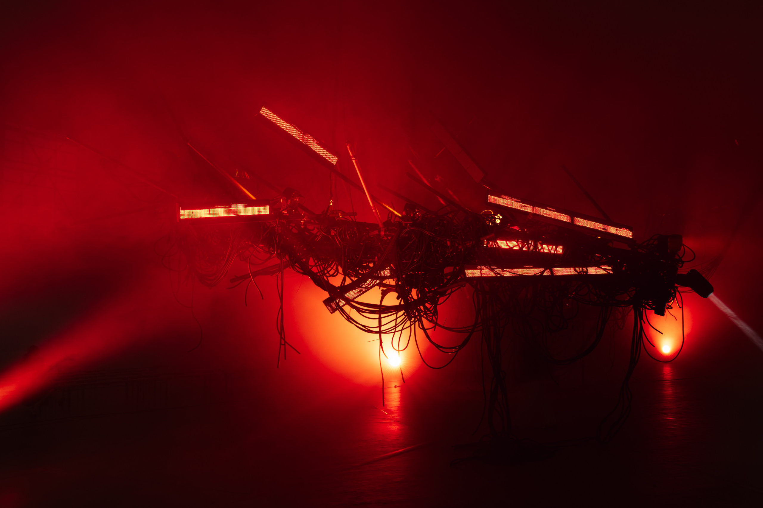 PANTERRA, CHRONOMORPH 001. @tomrus: Рустам Шагиморданов — фотограф