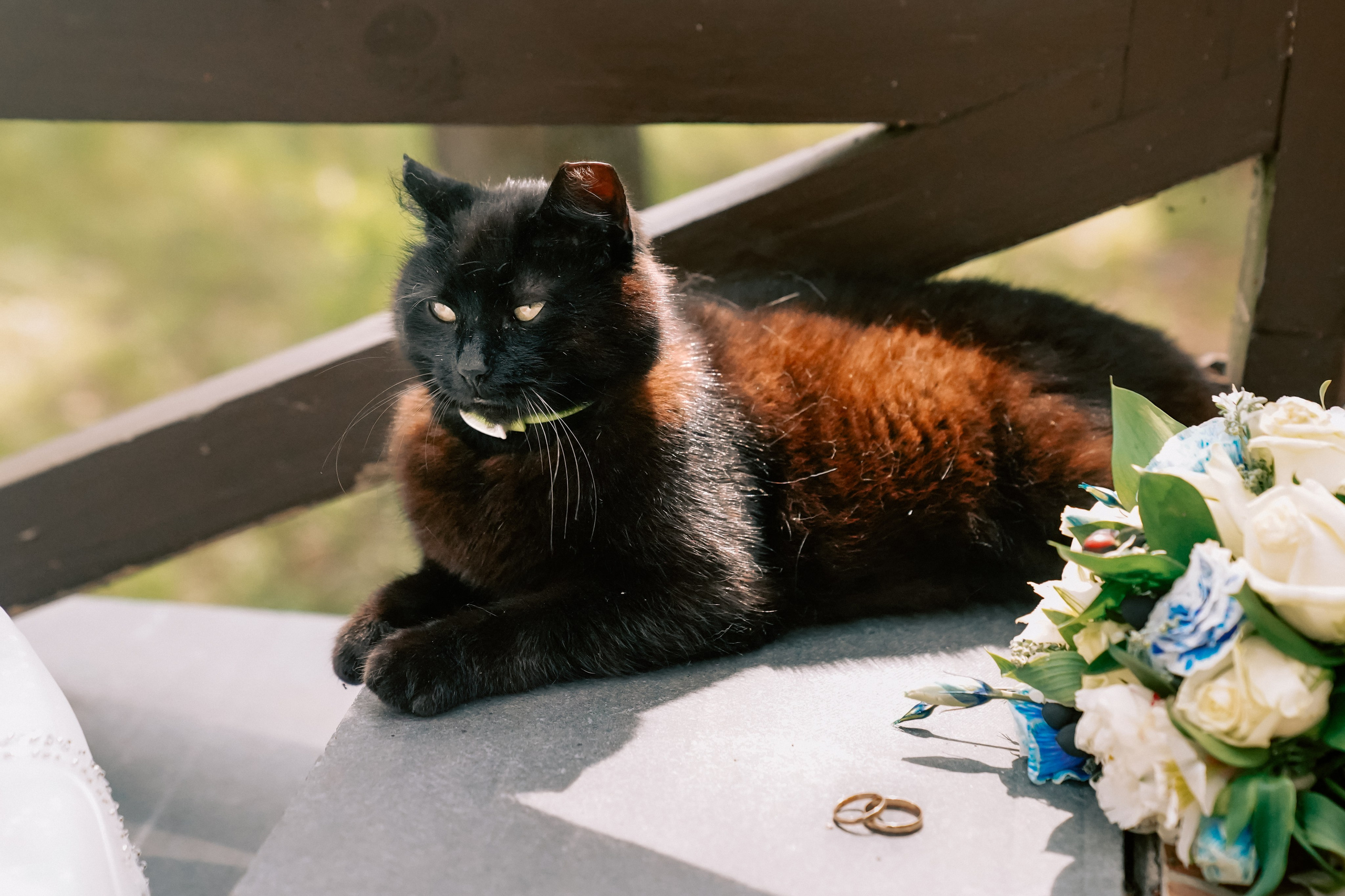 Свадебный фотограф Смоленск Мария Окунева