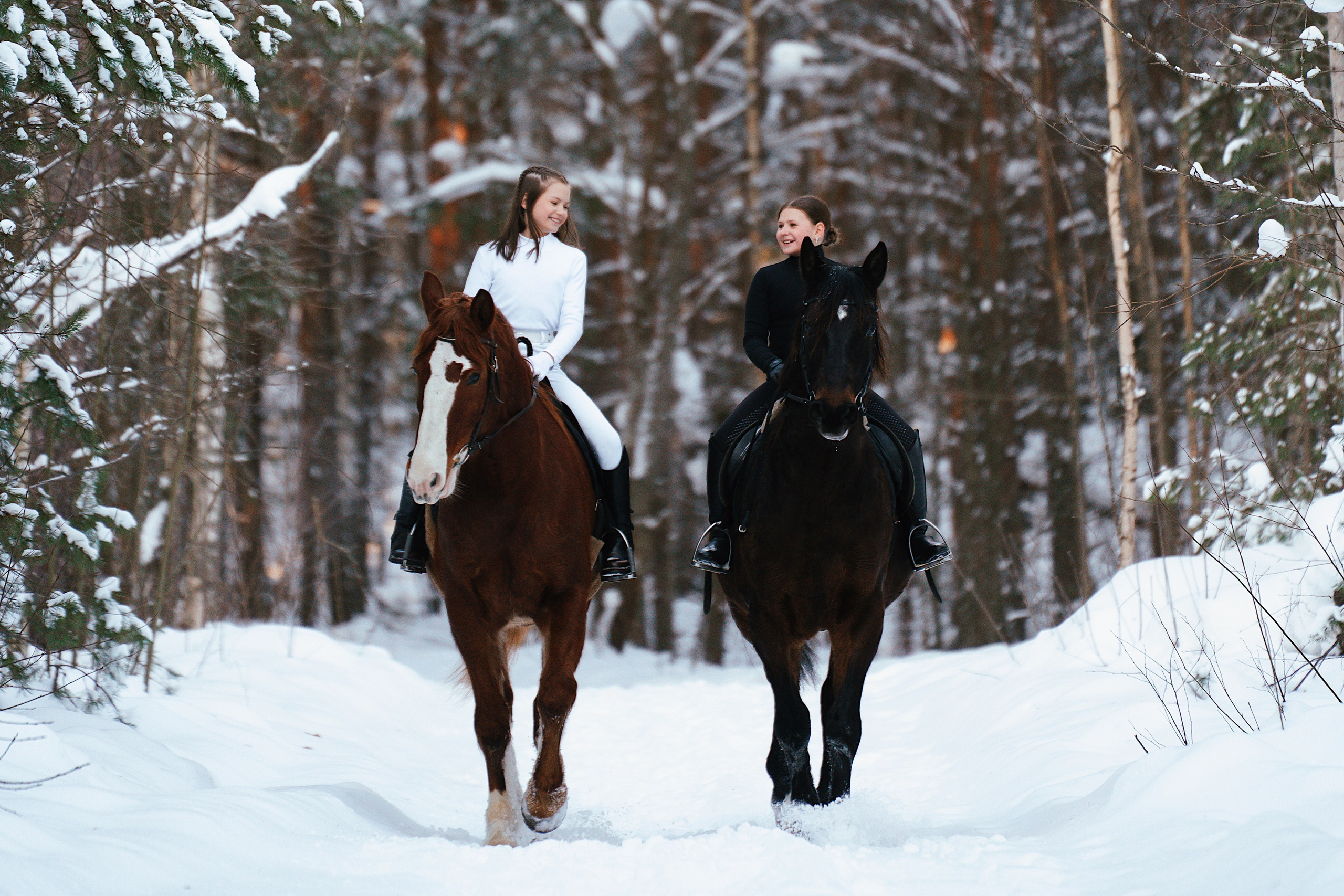Конные. Фотограф Сибирика (Ирина Кузнецова), Санкт-Петербург и ЛО — портреты, свадьбы и семейные съемки. Творческий подход и качественные фото