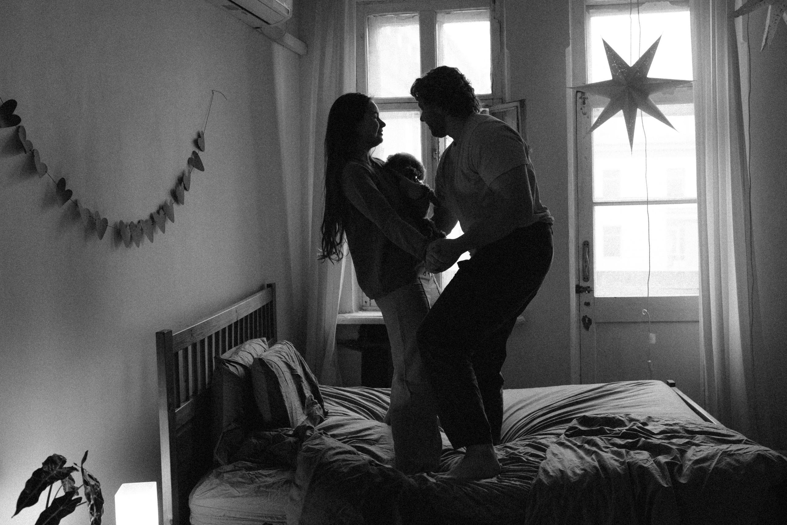 Ання и её кудрявая команда. Фотограф анималист в Москве Ольга Агушева