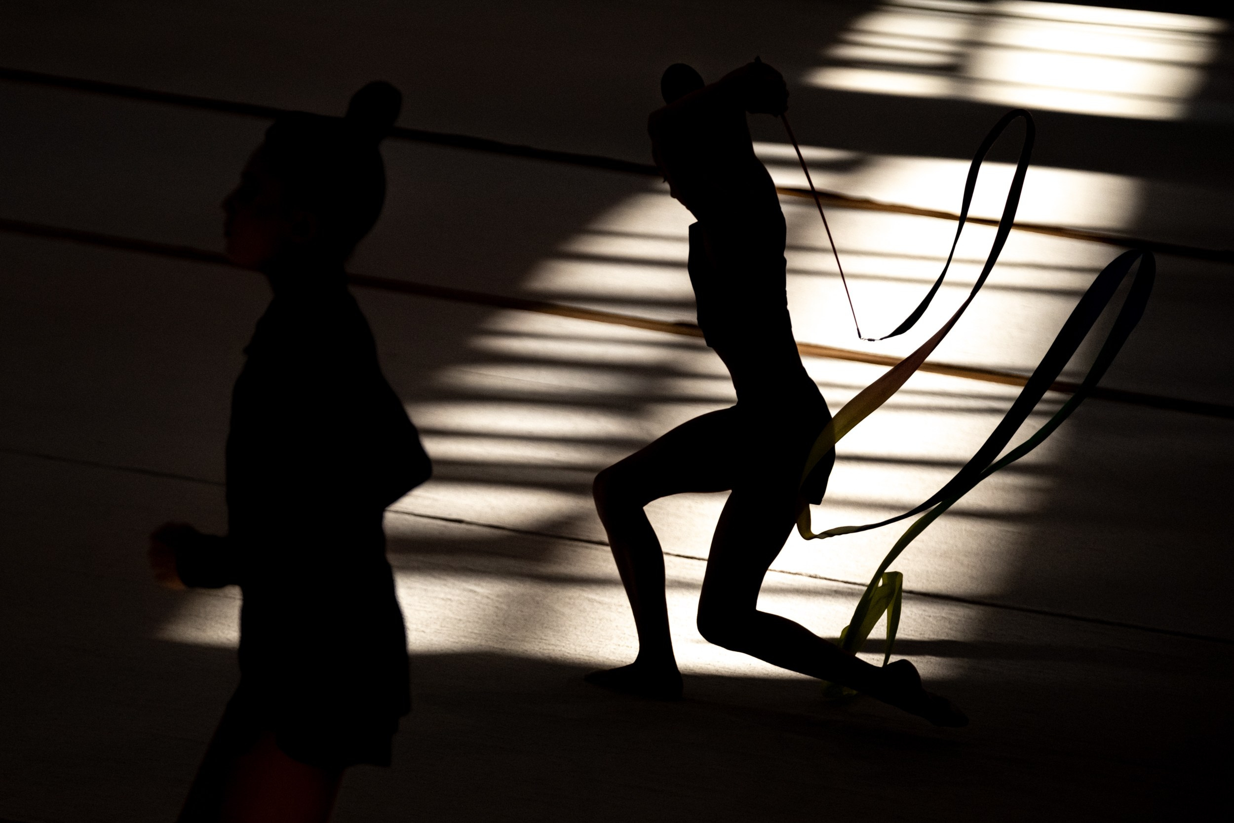 Художественная гимнастика. Nikita Goltsov — Photographer