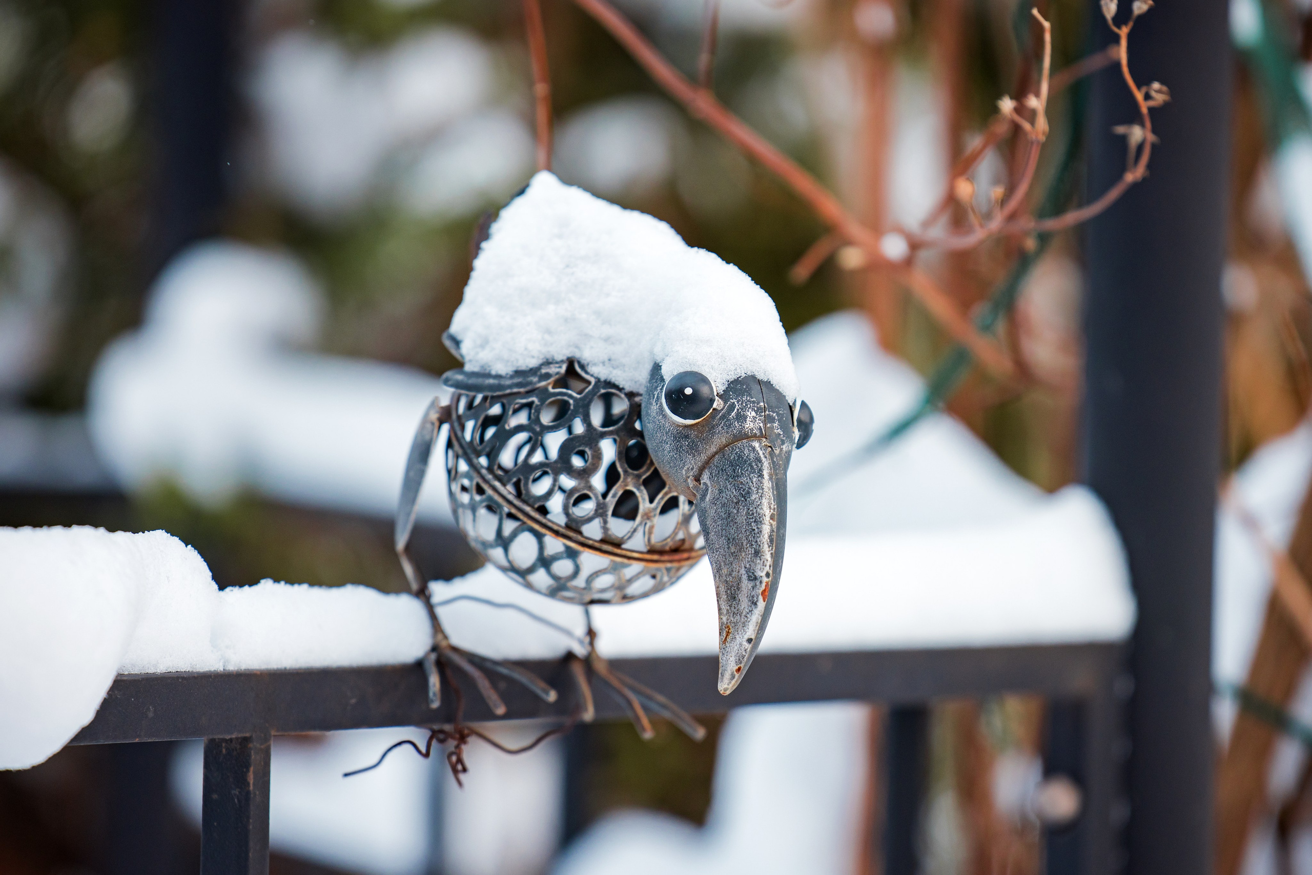 В гостях у шарпеев 16.01.2024. Фотограф-анималист Юлия Германика