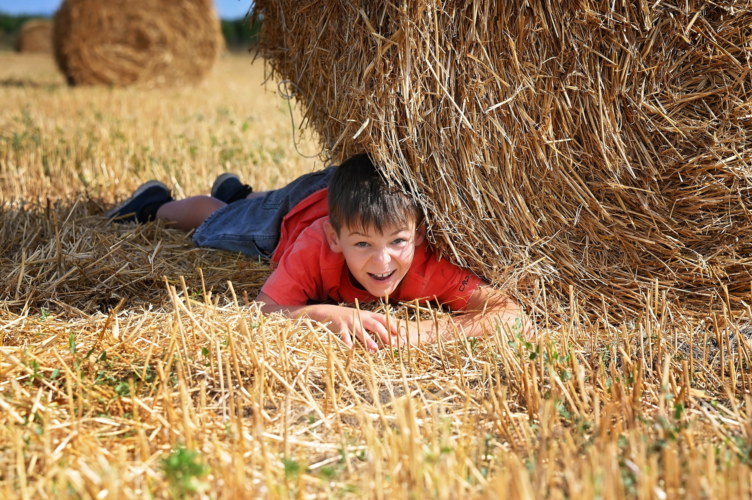 Сено. Главная