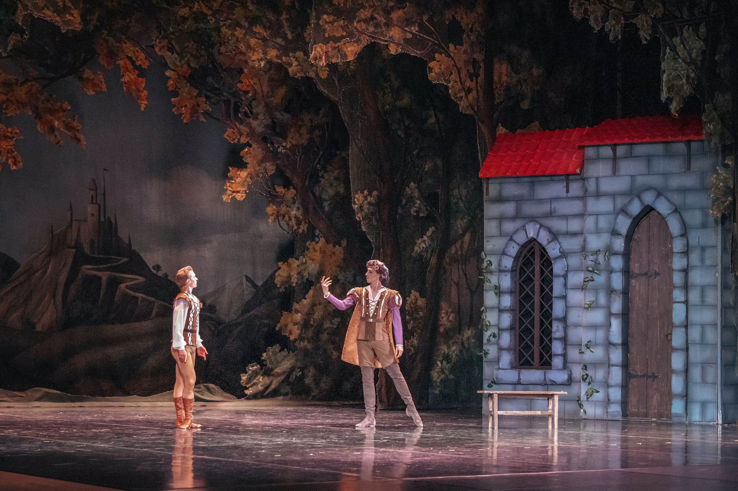 Концерты. Семейный фотограф в Абакане Любовь Халявина